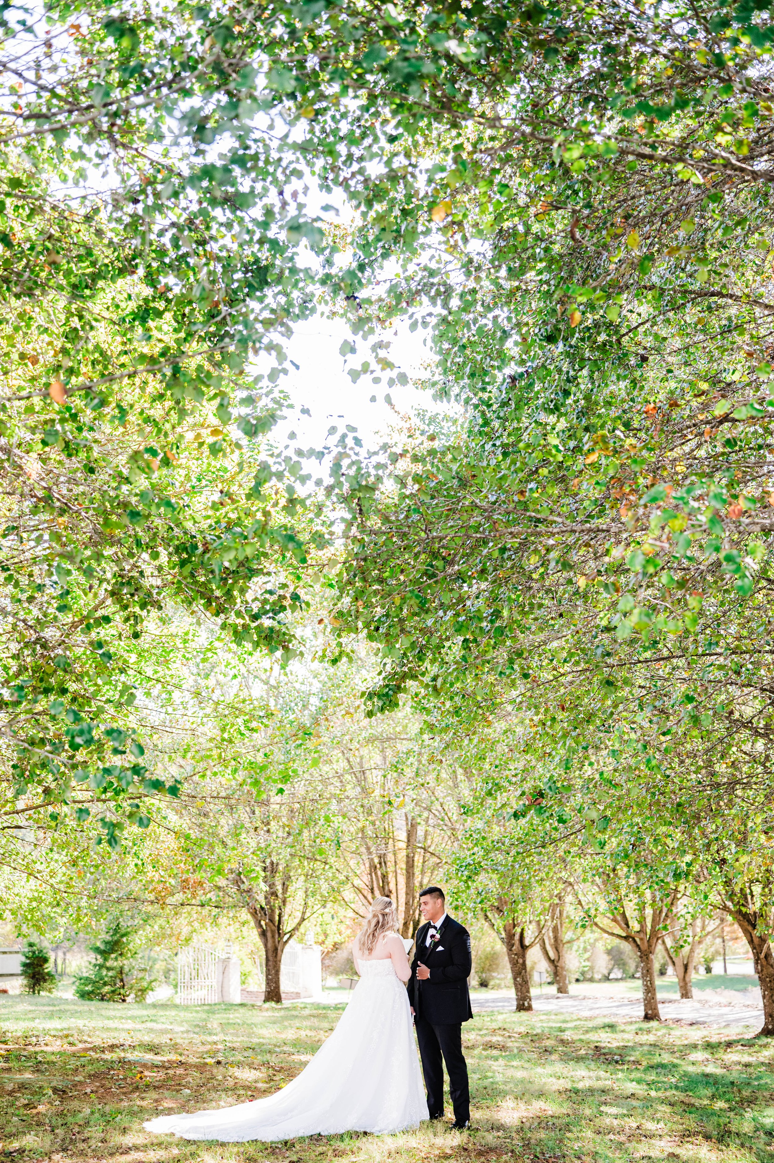 belle-garden-roanoke-virginia-wedding15.jpg