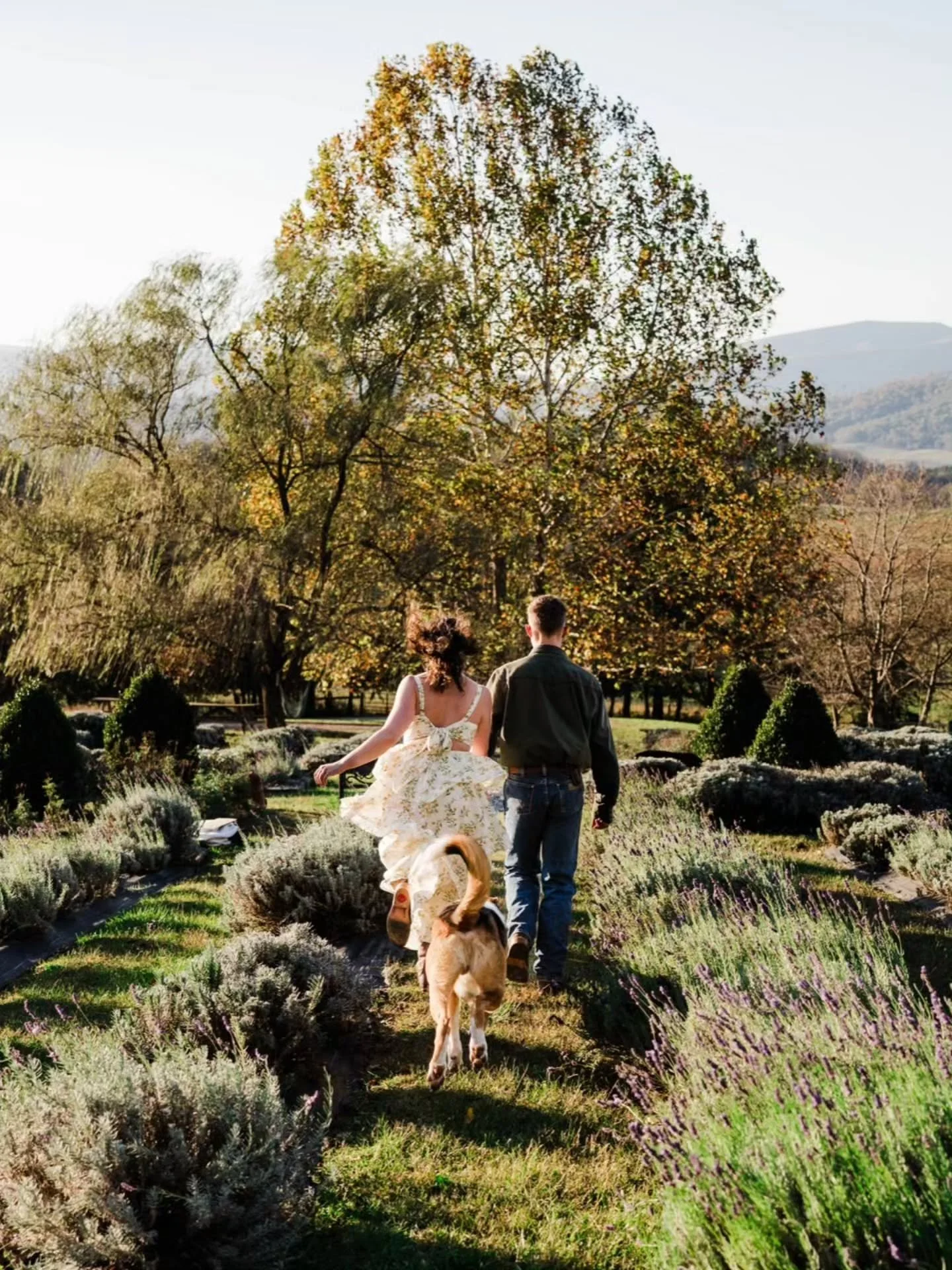 Lexi + Cade had gorgeous glowy light for their engagement session! After several weather reschedules, I am so glad they got the most perfect evening. Biscuit was really showing off his model face too 🐾

Virginia Wedding Photographer | Charlottesvill