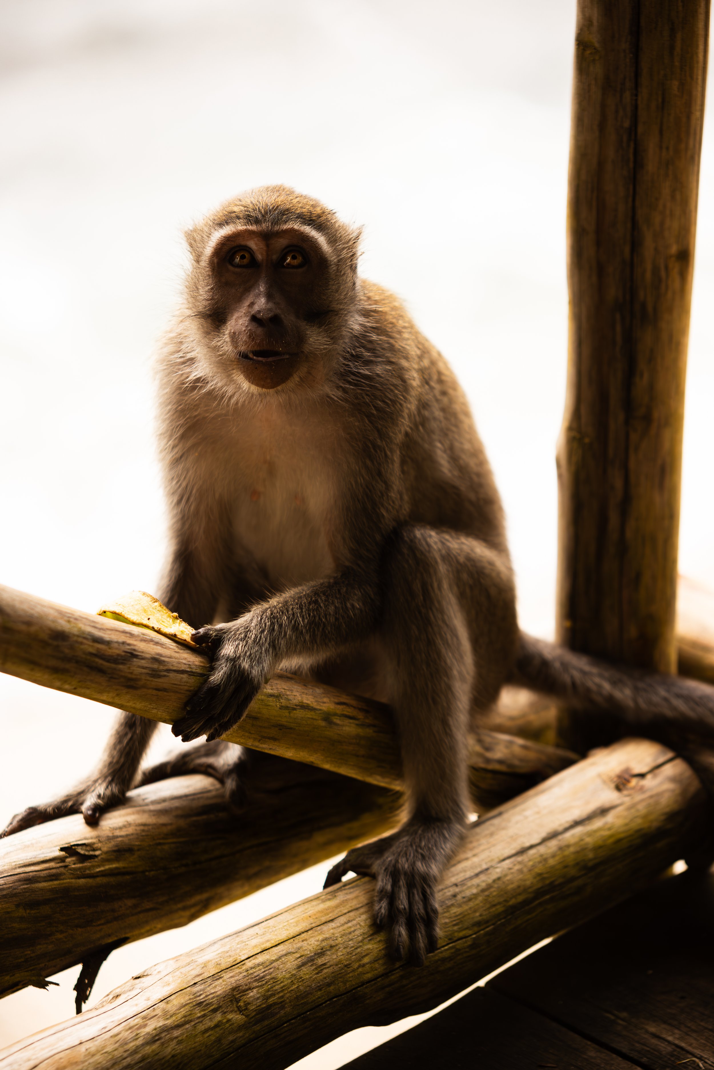 3W5A6294-Enhanced-NR.jpg