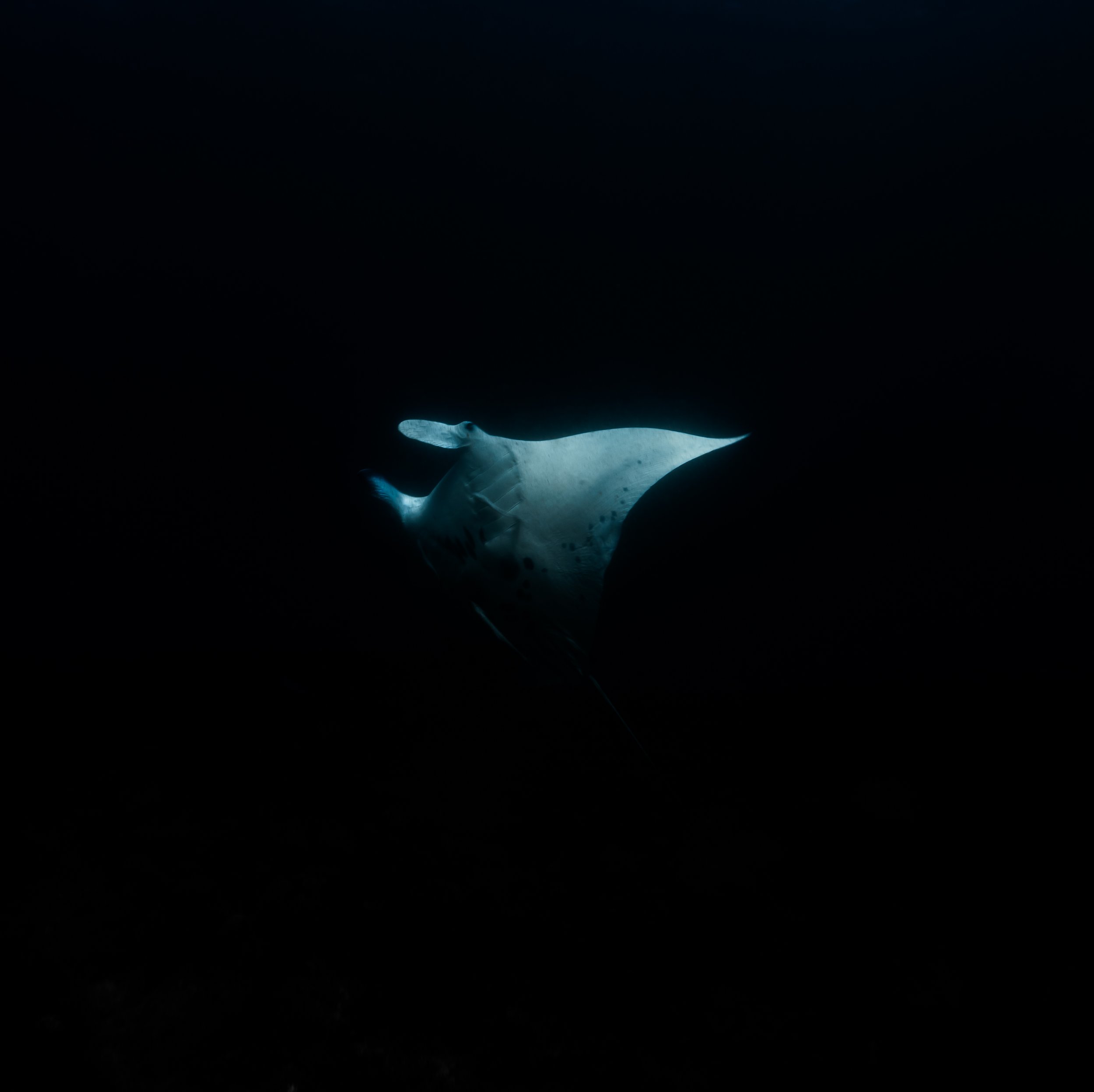 3W5A6057.jpg