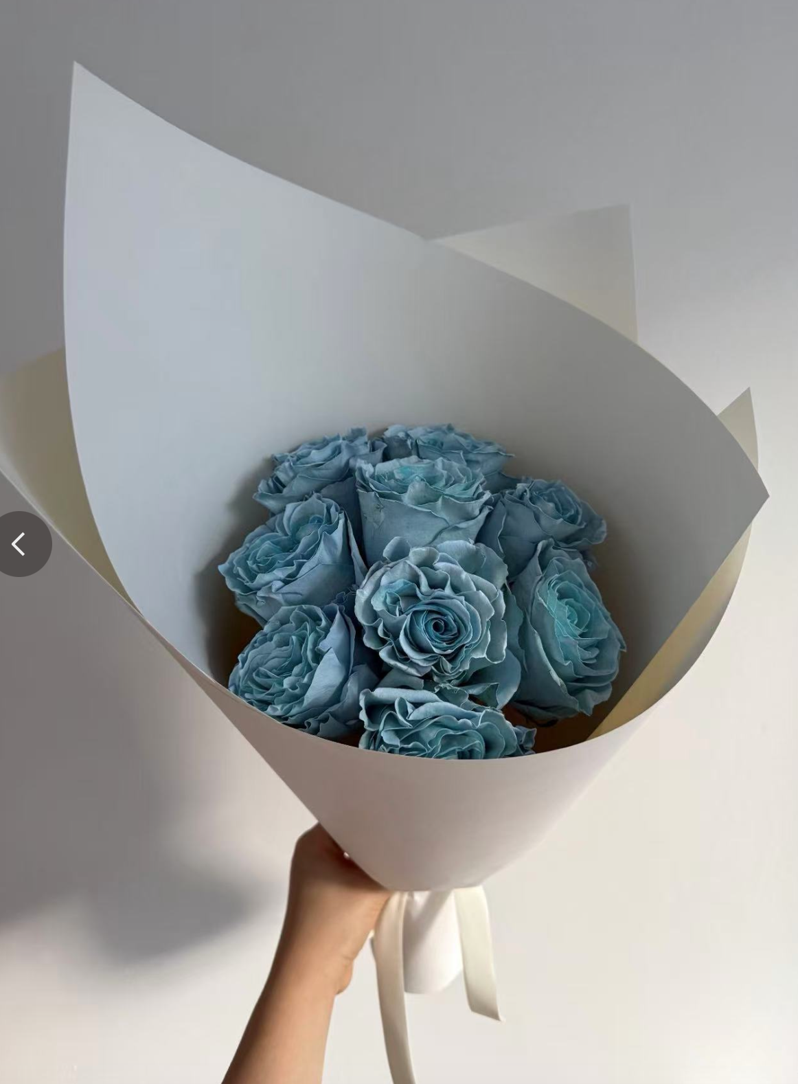 Sky Blue Roses
