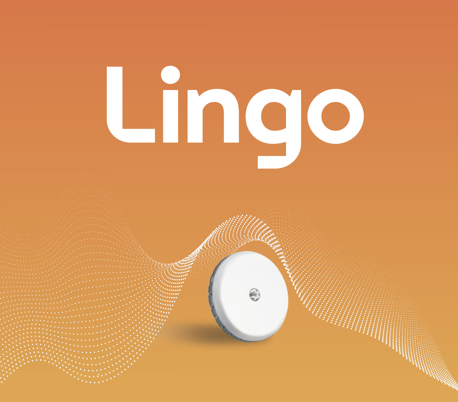 Lingo