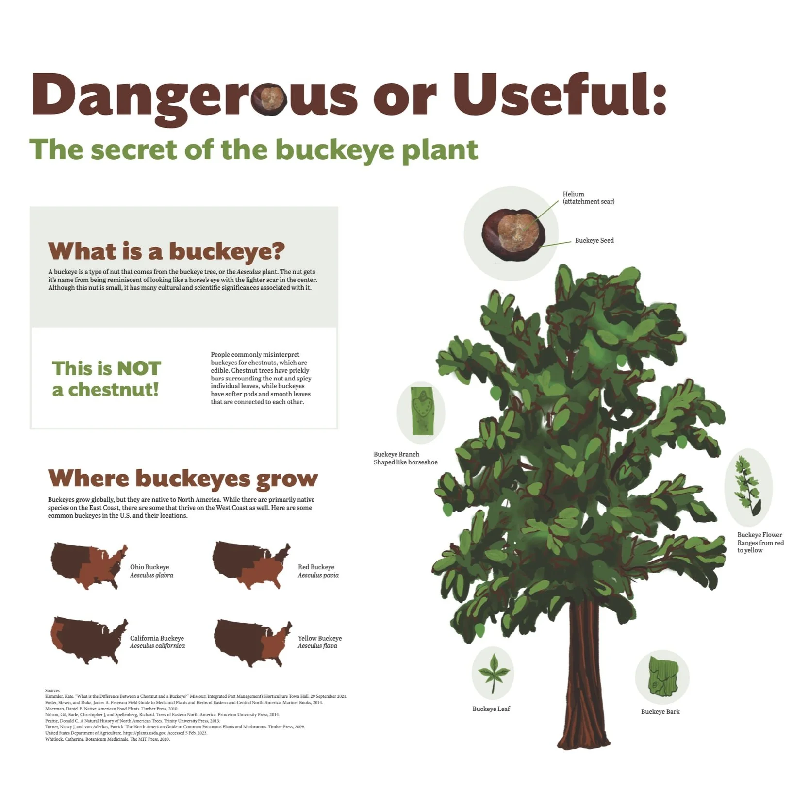 Buckeye Information Design