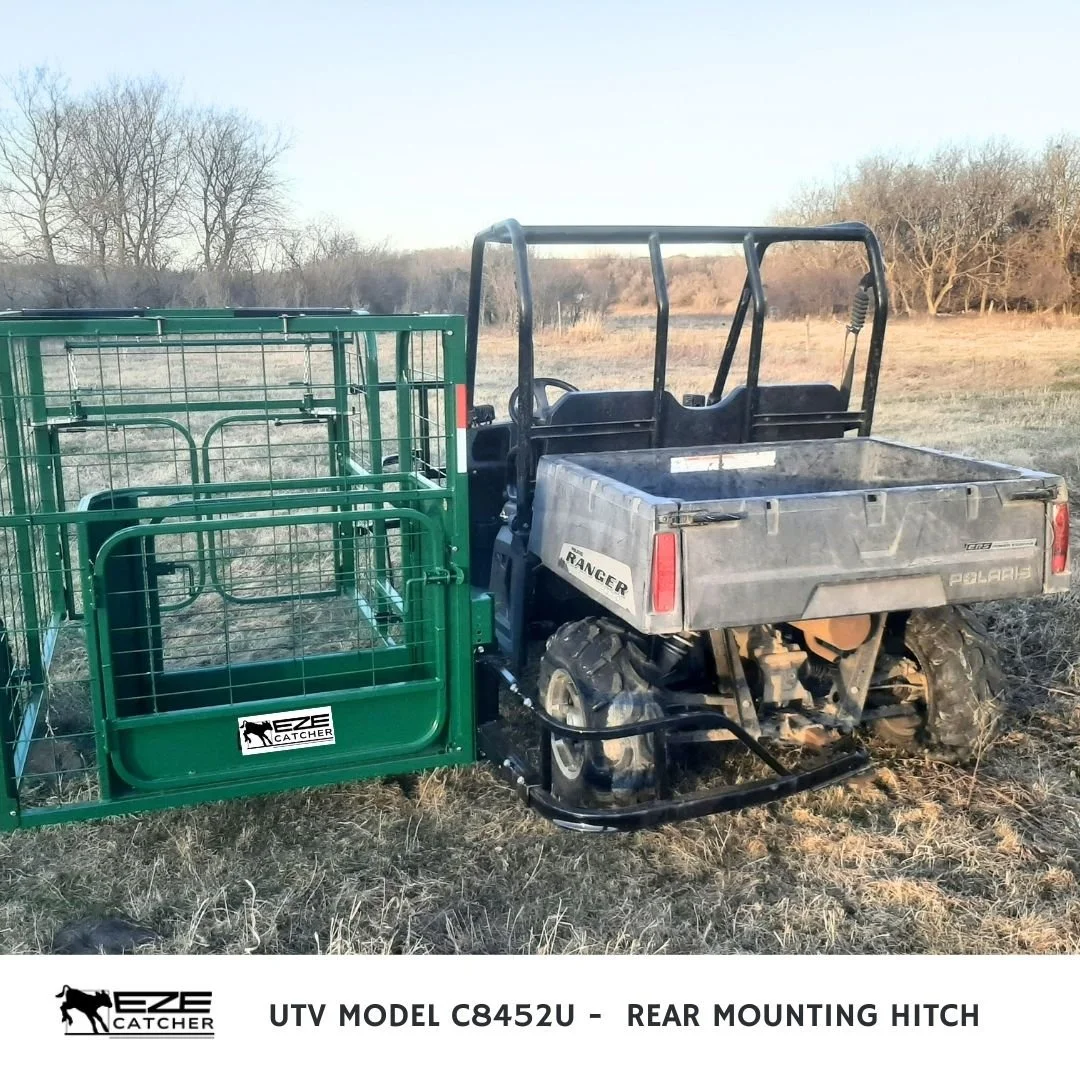 A calf catcher cage attached with a rear ball hitch to a UTV