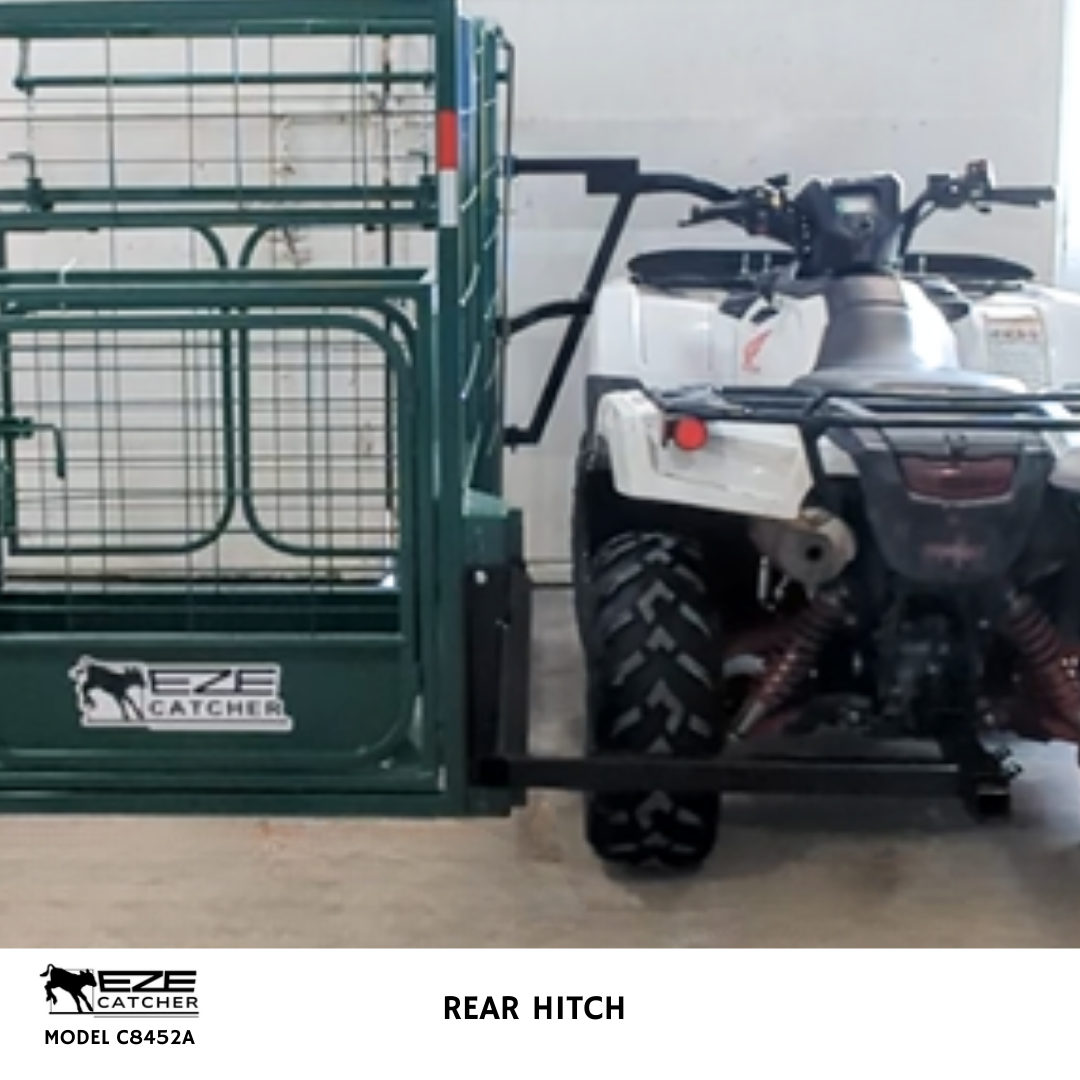 Eze-Catcher calf catcher attached to ATV with a rear ball coupler hitch