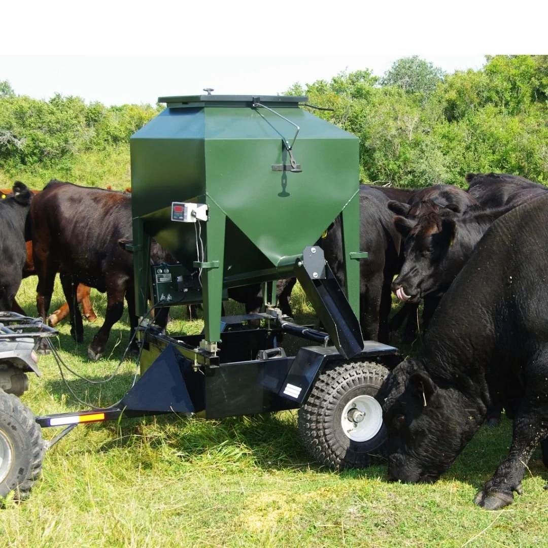 ATV livestock feeder in a field surrounded by black cows