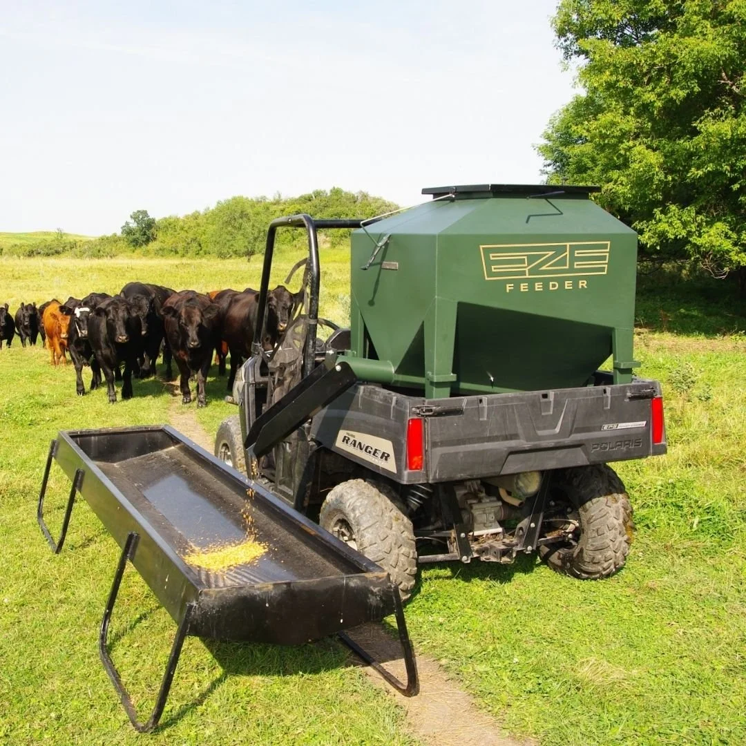 A small green eze-feeder UTV cattle feeder in a grassy pasture with cows coming in to feed as it discharges feed into a bunk feeder.