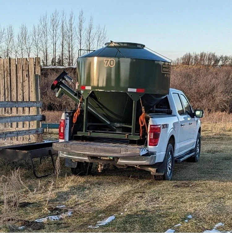 A green feeder in a white pick up dropping feed, in a dry field with bare trees in the background and an old farm fence