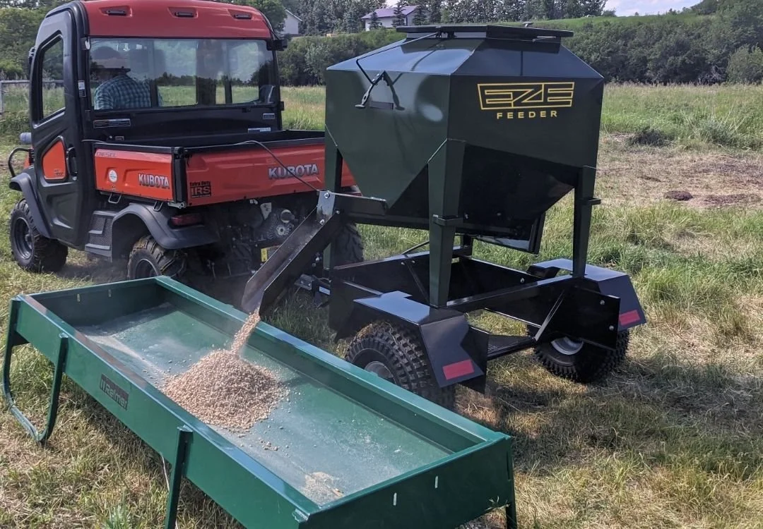 A small green eze-feeder pulled behind a UTV filling bunk feeders in a grassy field.