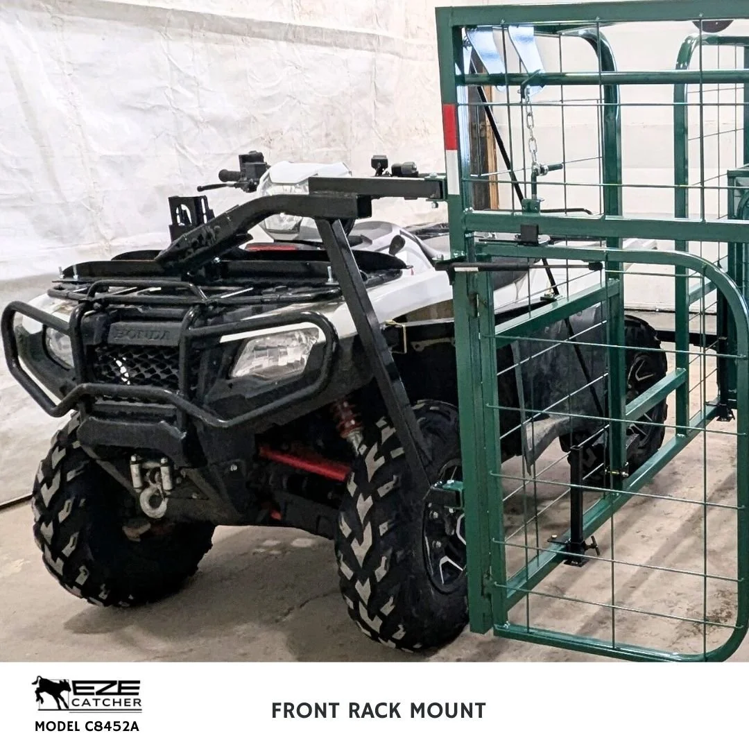 A white quad vehicle hooked up to a green eze catcher calf catcher in a shop