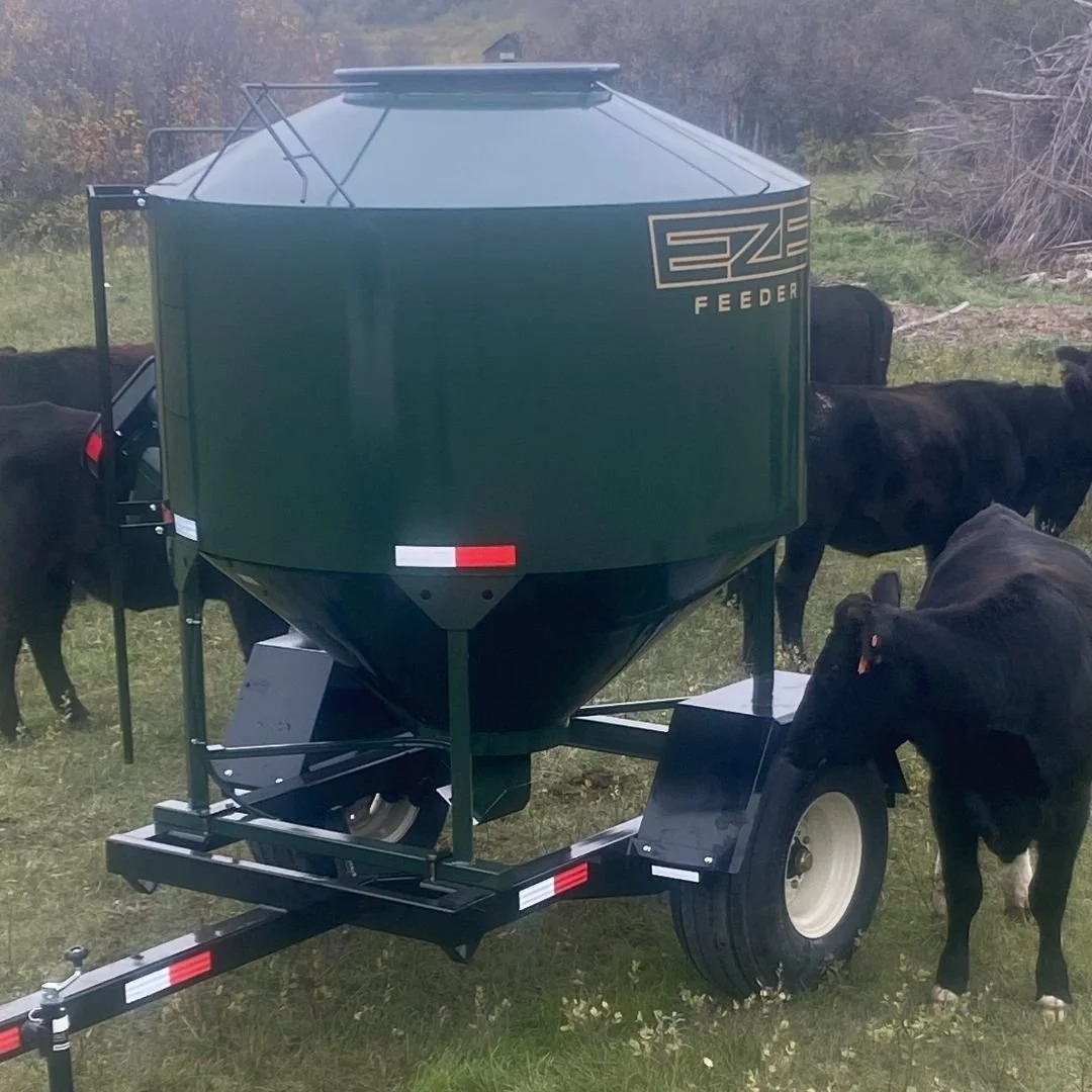 A trailer mounted green EZE-Feeder  cattle feeder, in a field, surrounded by black cows, eating feed dispensed by the mobile cattle feeder.