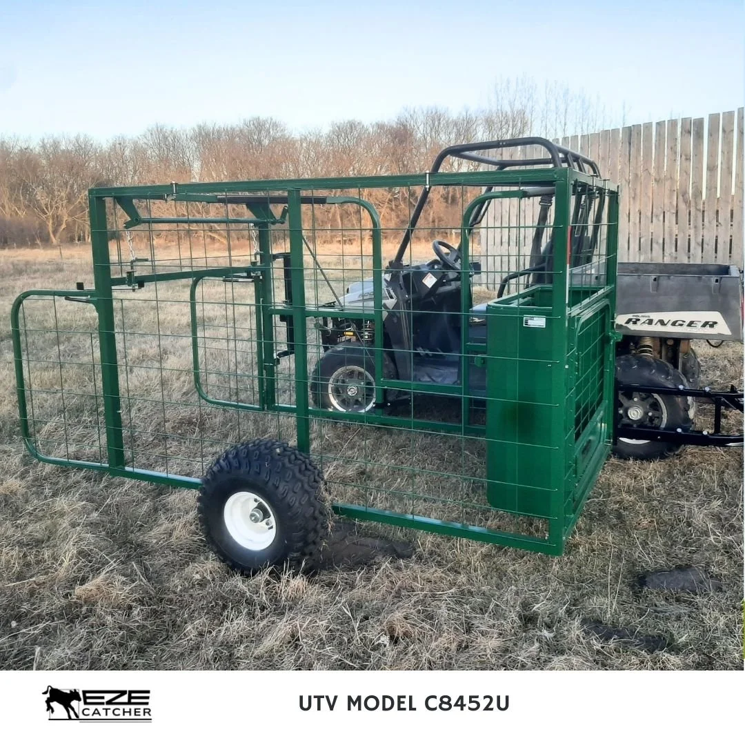 A green metal livestock calf catcher cage attached to a side by side, UTV vehicle in a field with dry grass and leafless trees in the background.