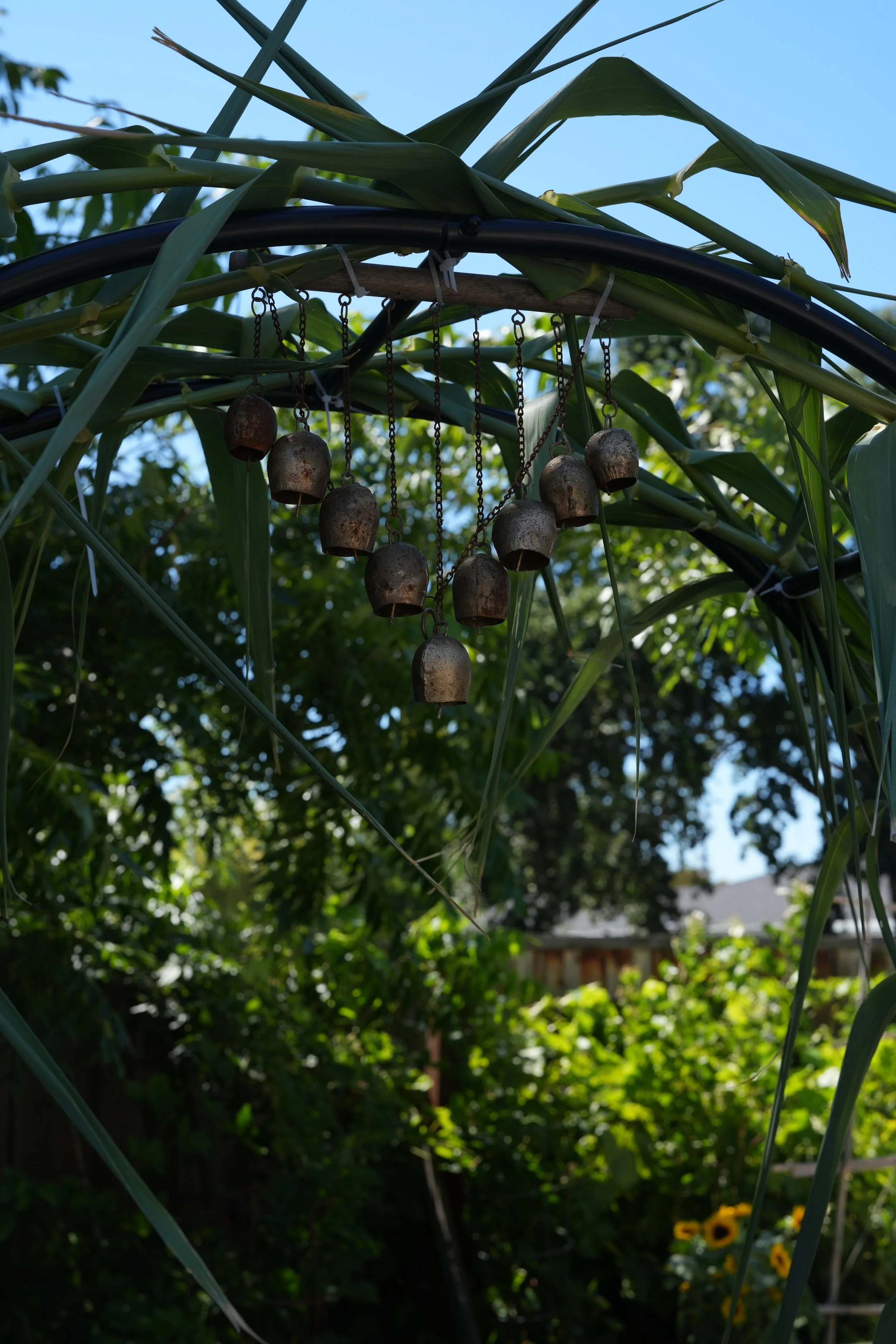 Copy of DSC01923.JPG