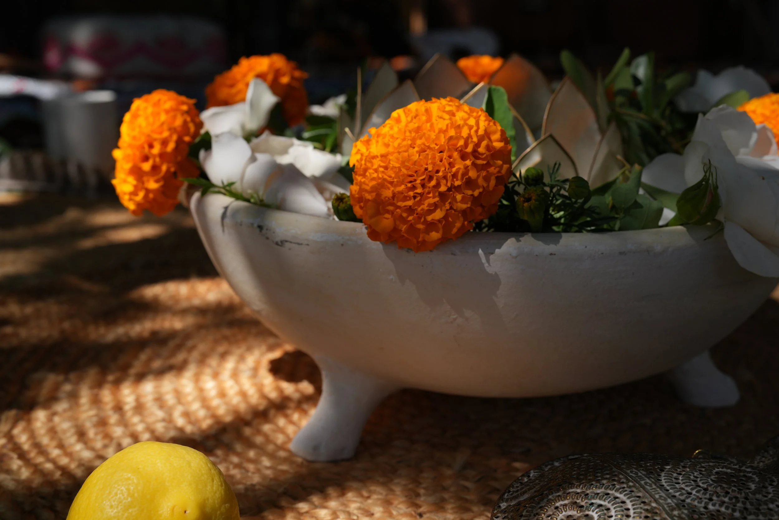 Copy of DSC01930.JPG