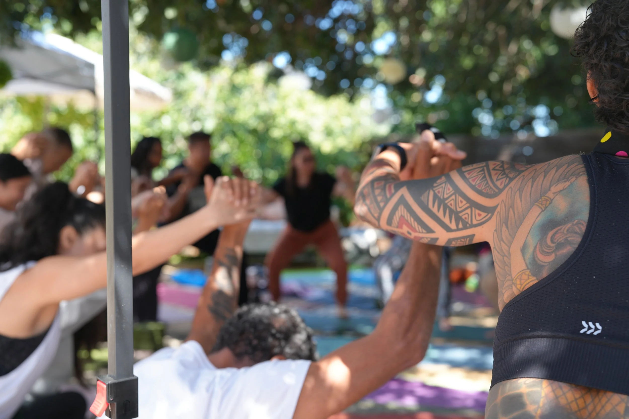 Copy of DSC01467 (1).JPG