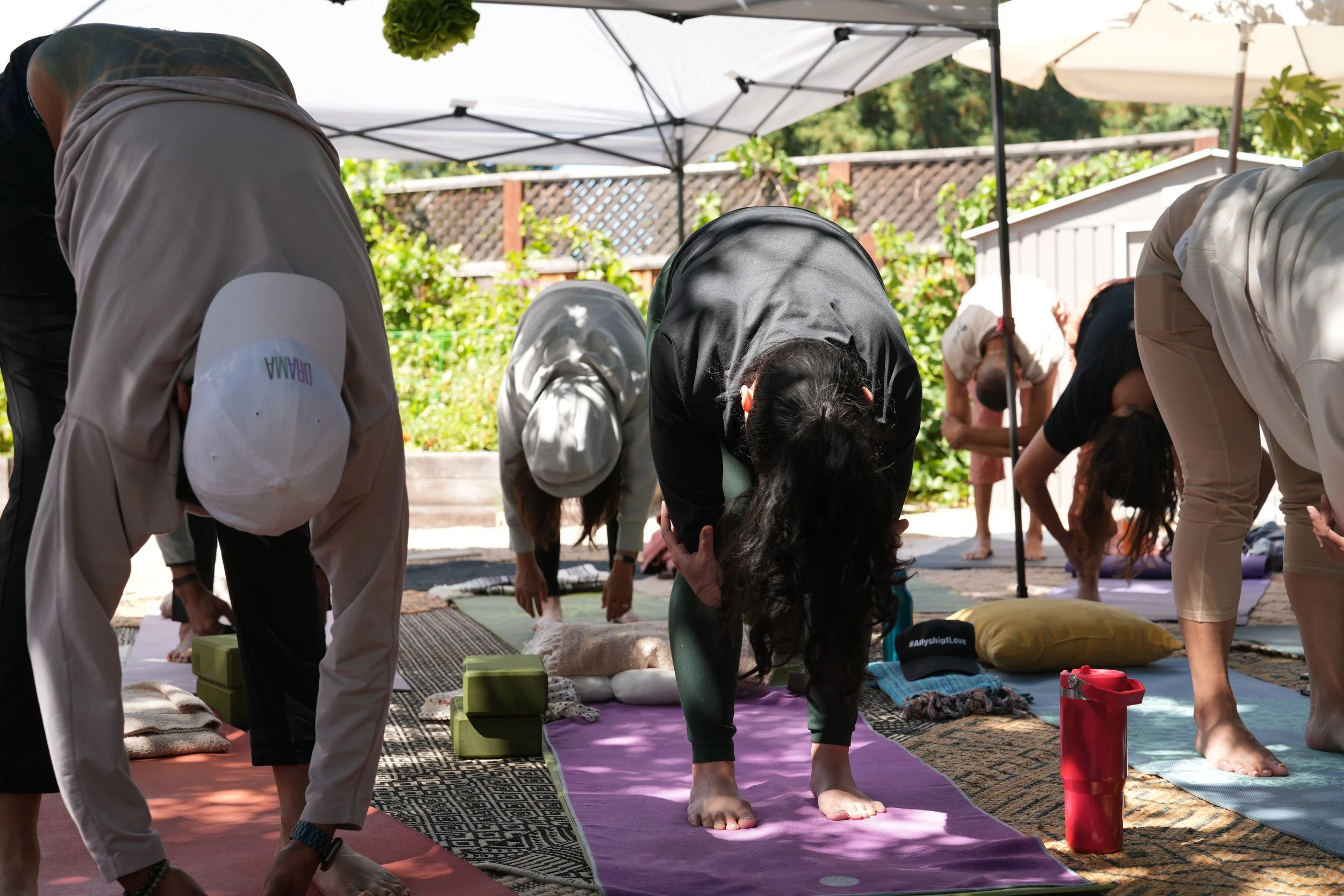 Copy of DSC01393 (1).JPG