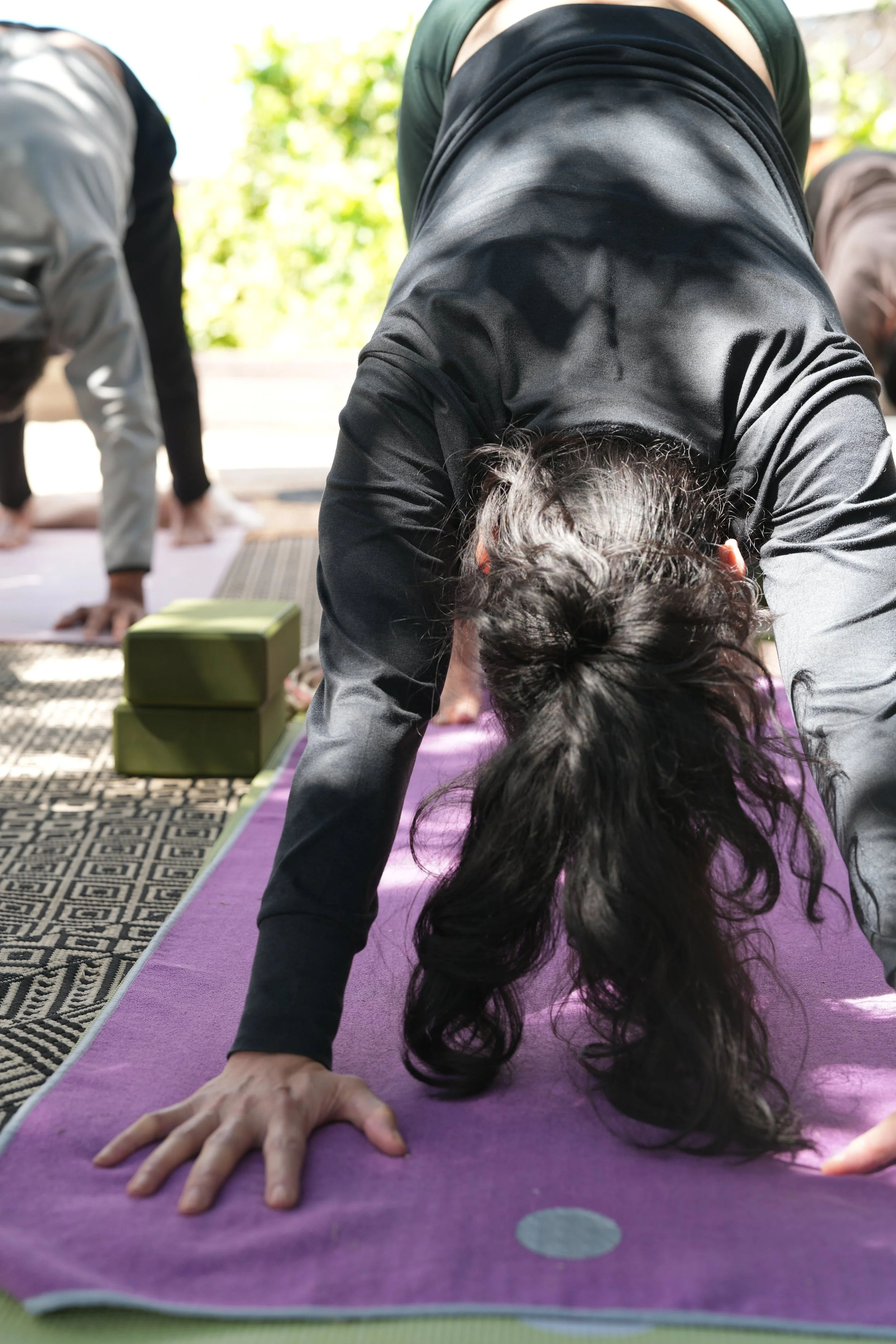 Copy of DSC01371 (1).JPG