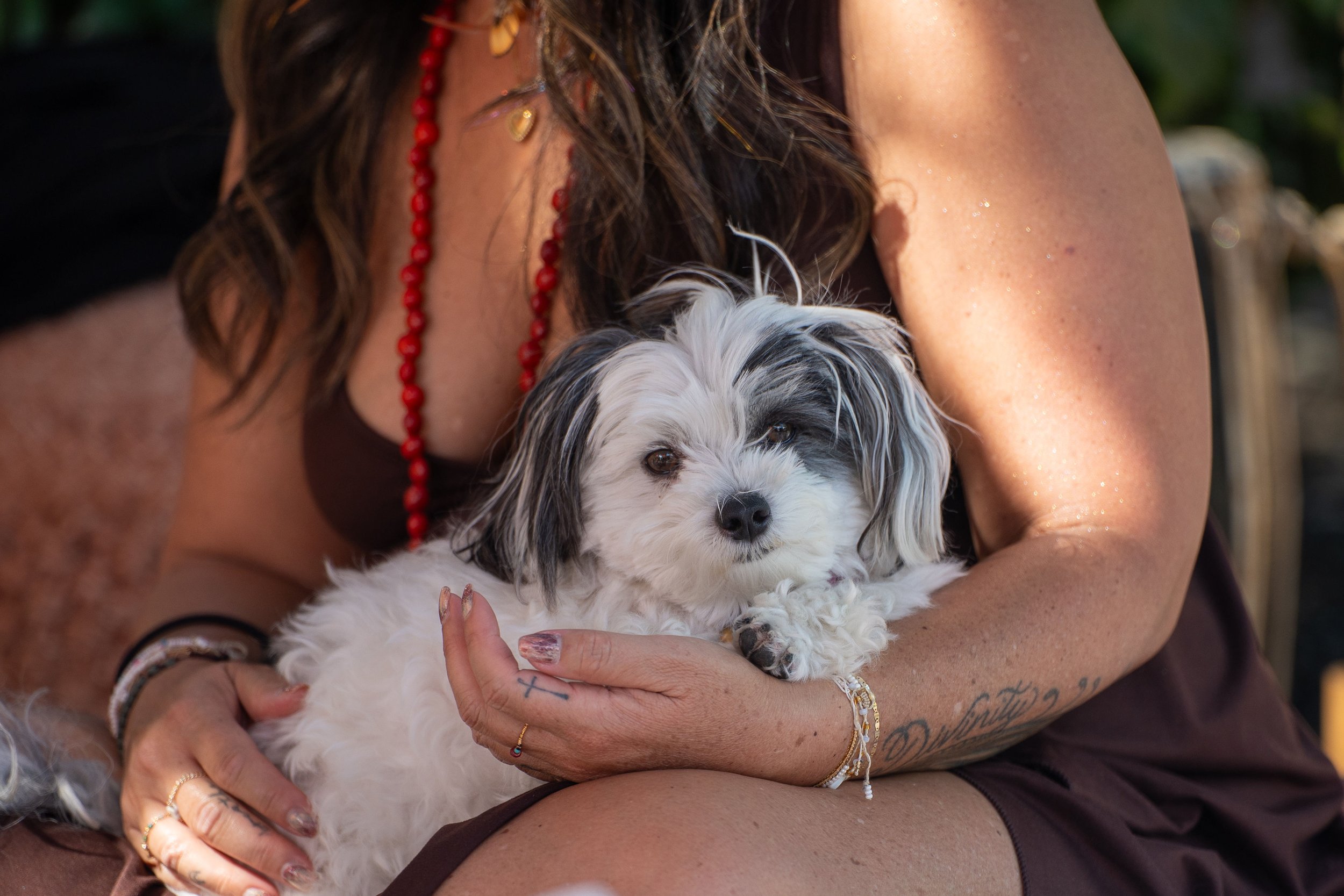 2025-08-03Astre&TerraWombHealing0316[DSC09967].jpg