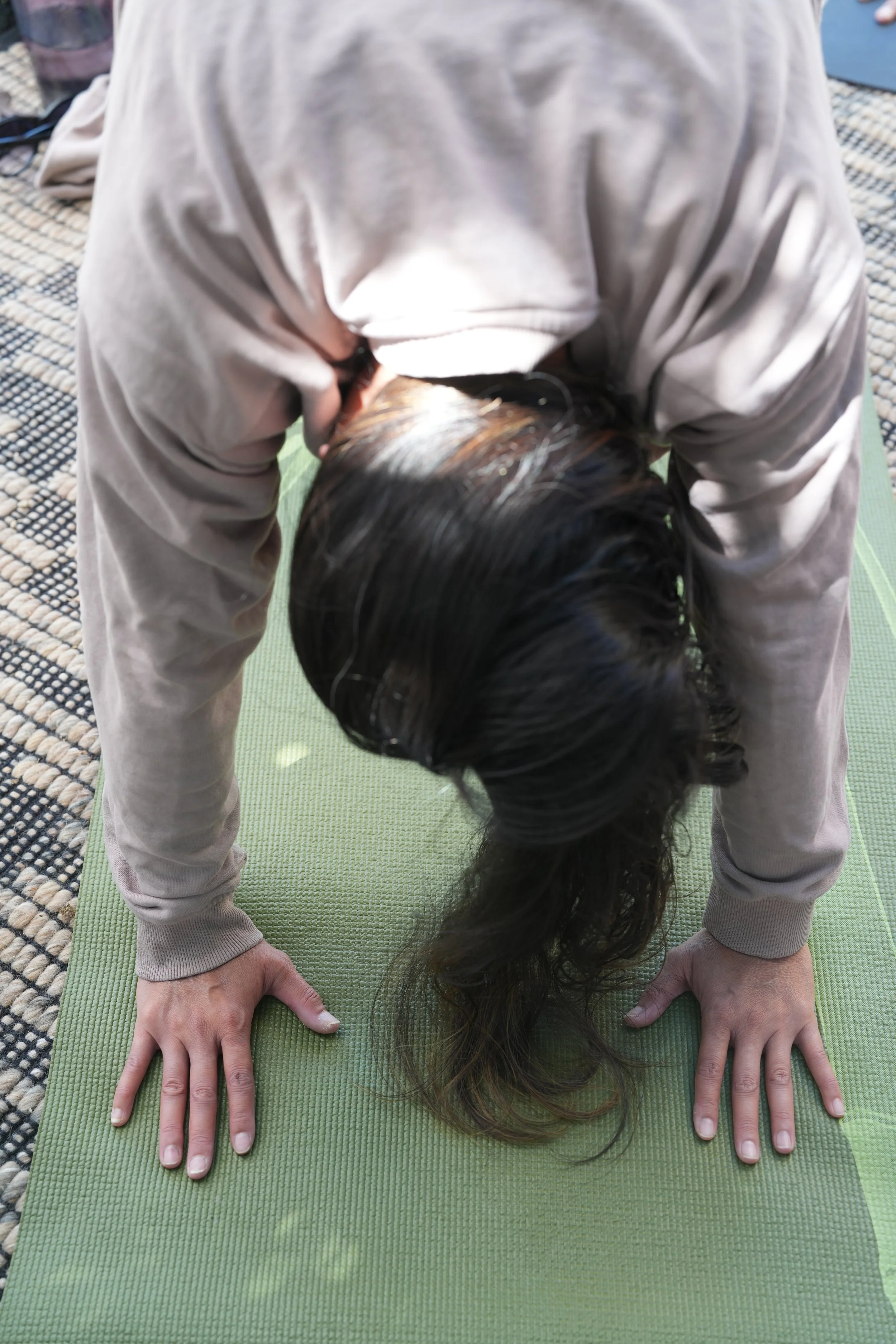 Copy of DSC01378 (1).JPG