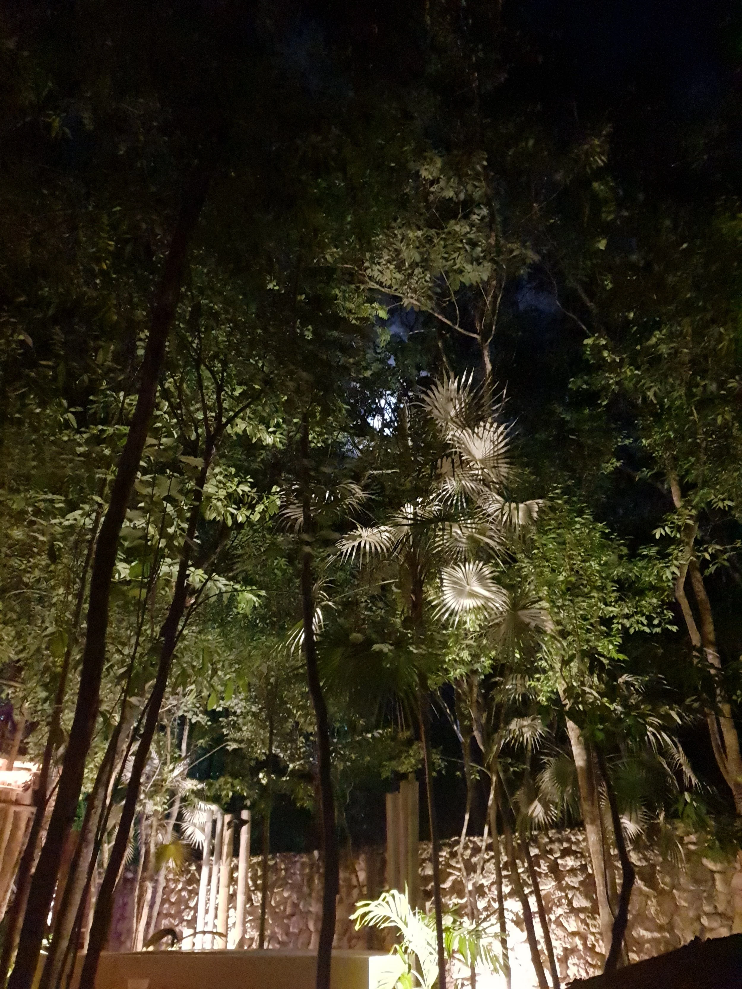 20191010_194556.jpg