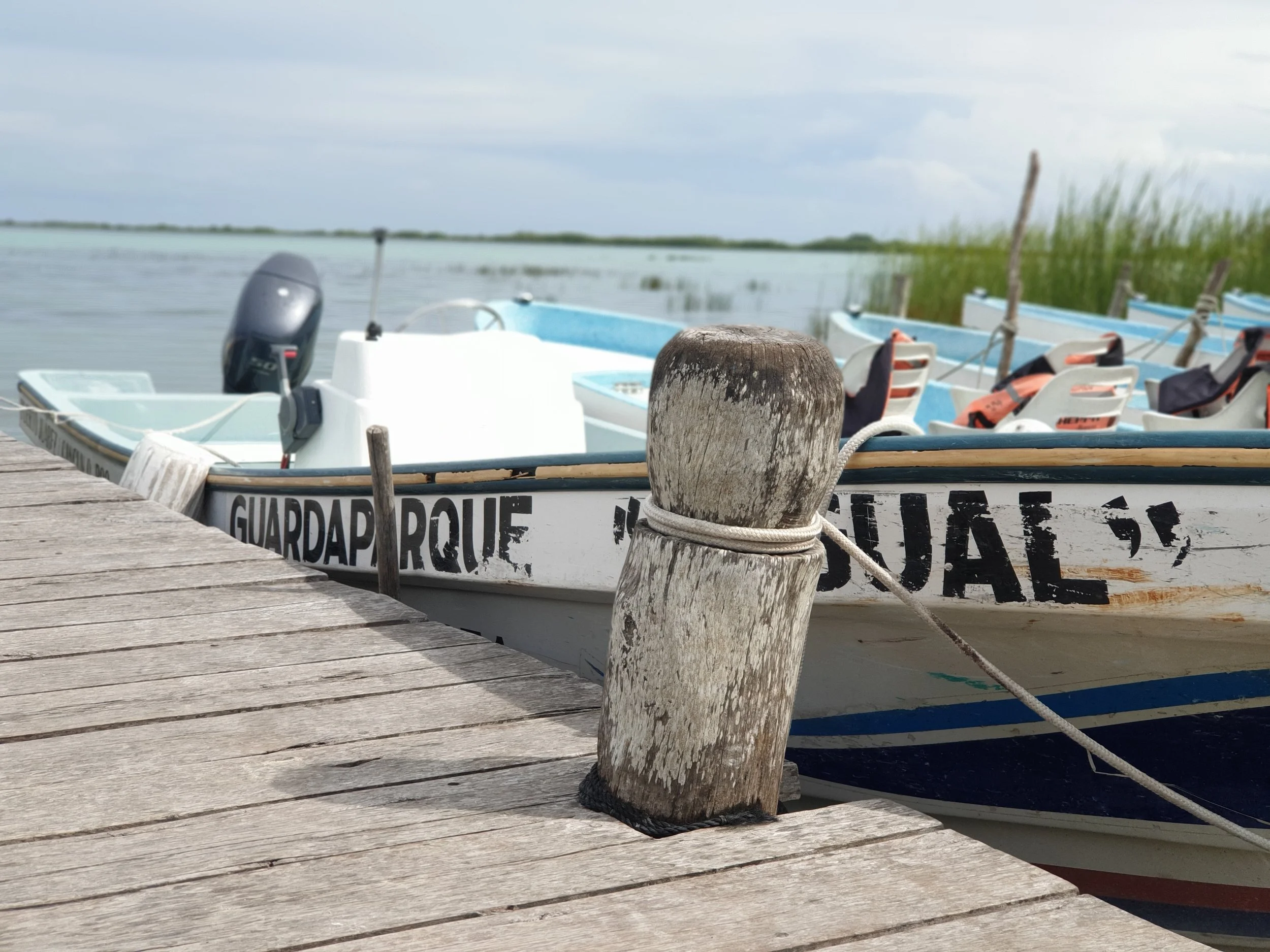 20191008_144351.jpg