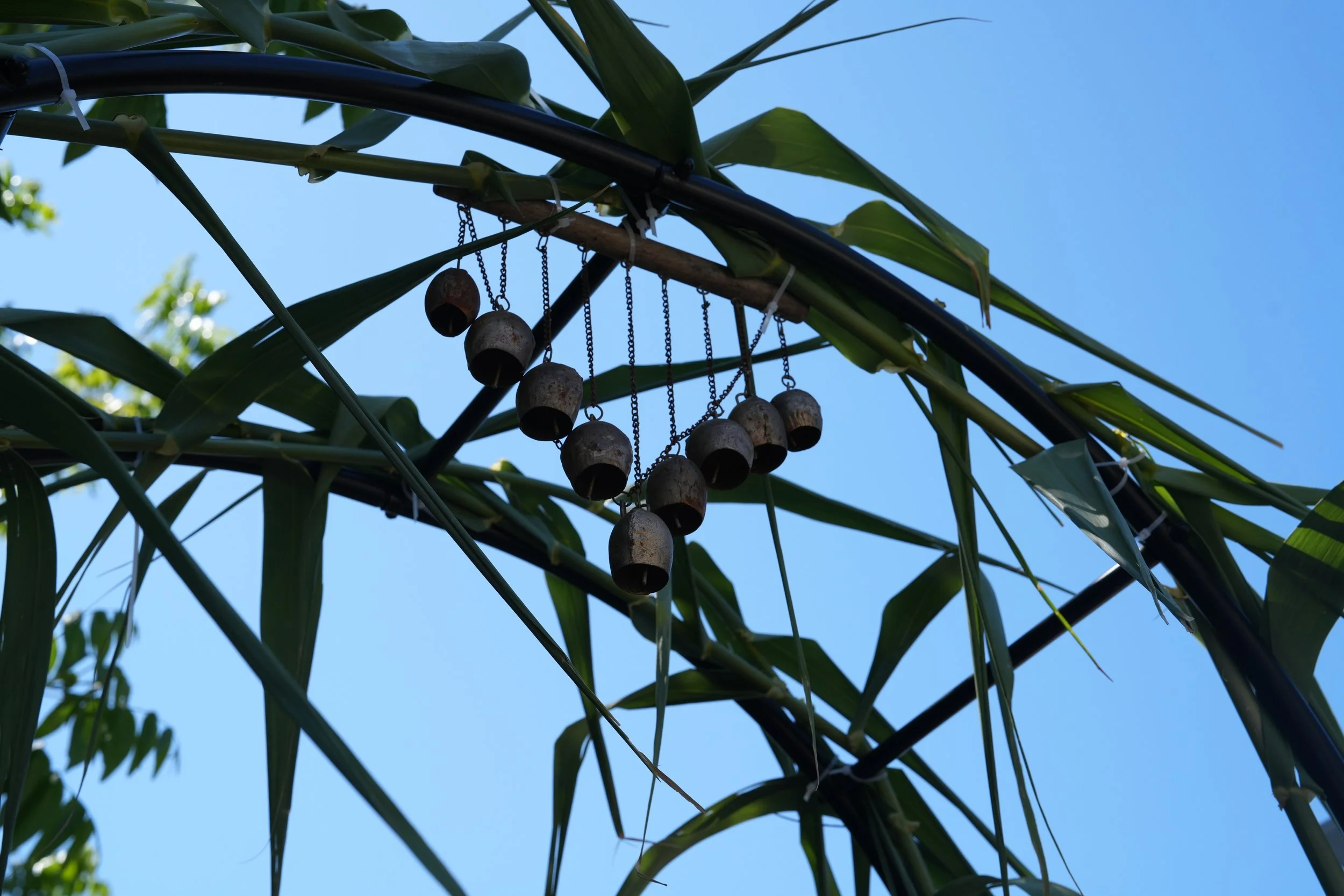 Copy of DSC01924 (1).JPG