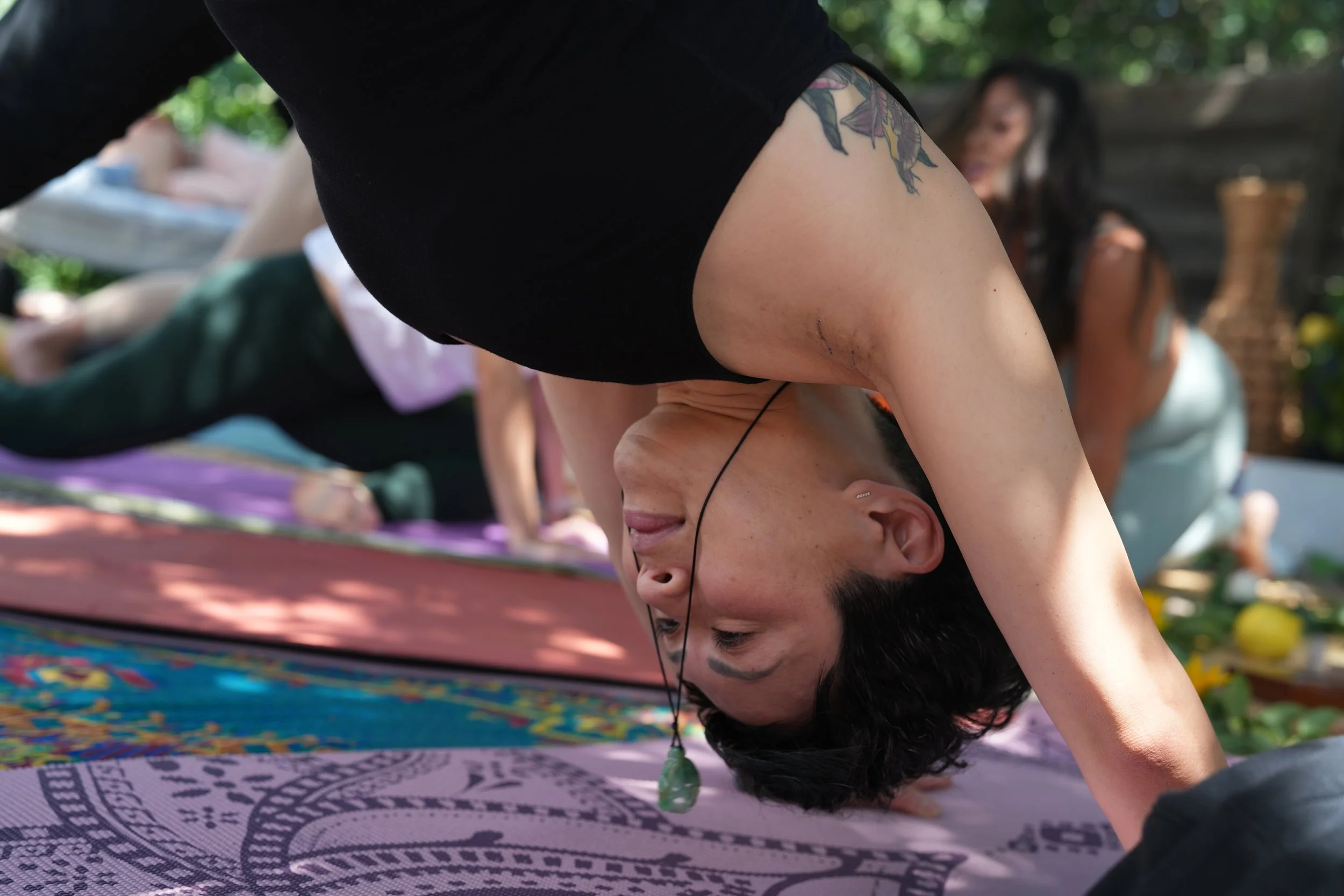 Copy of DSC01536 (1).JPG