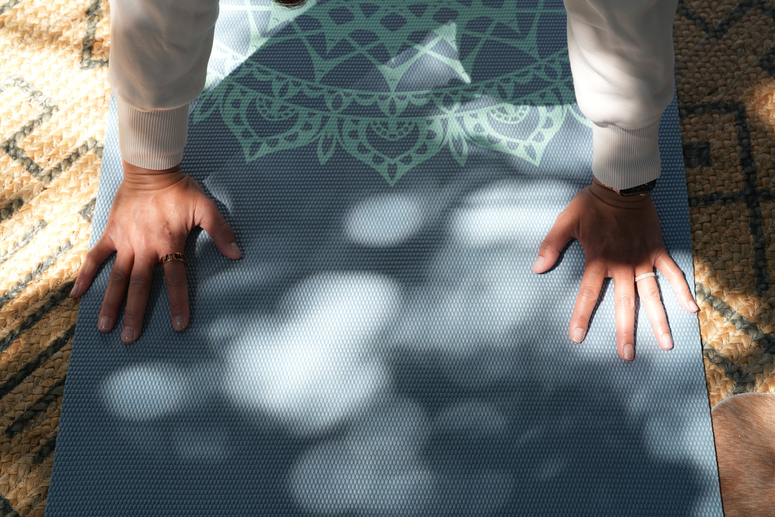 Copy of DSC01372.JPG