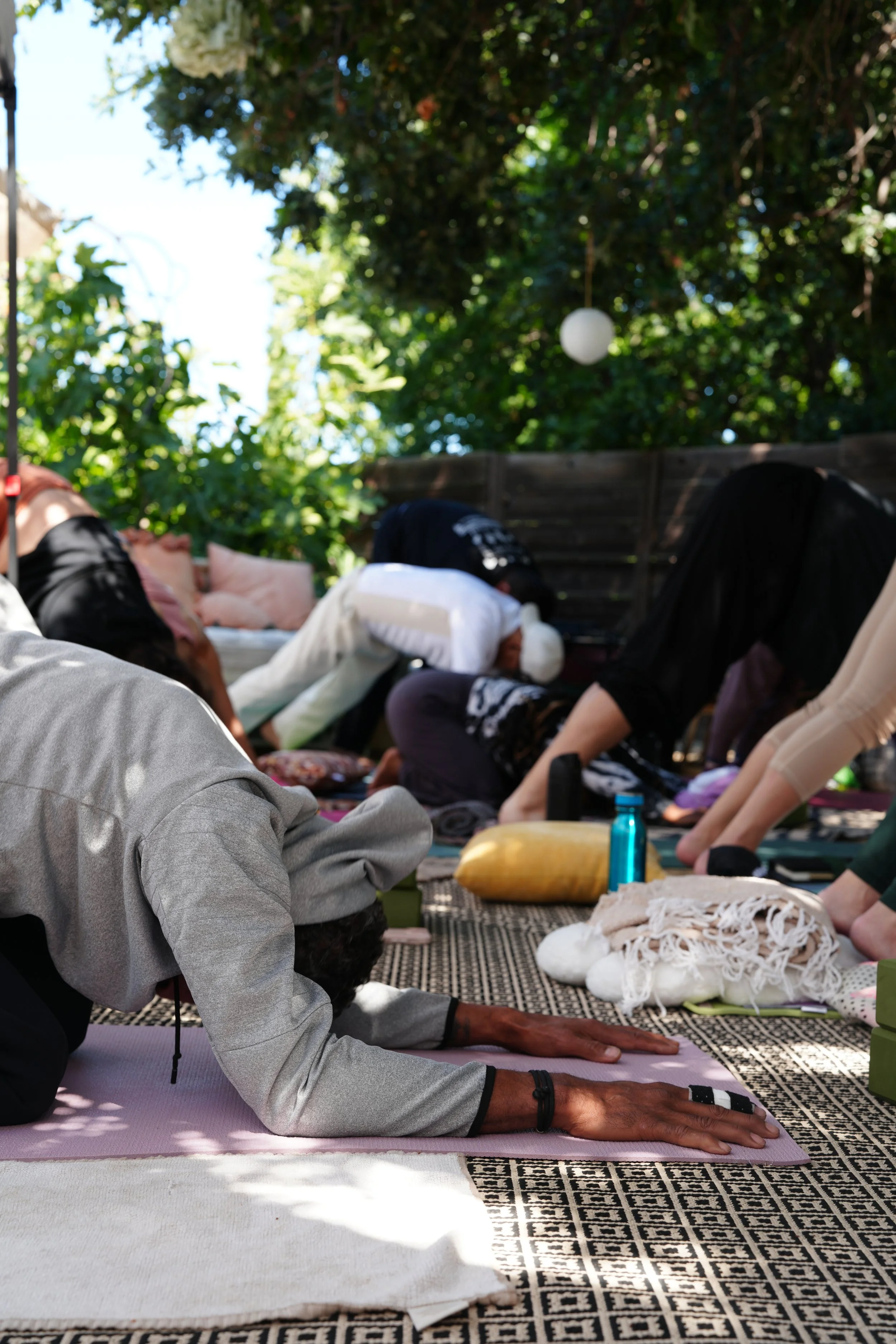 Copy of DSC01382 (1).JPG