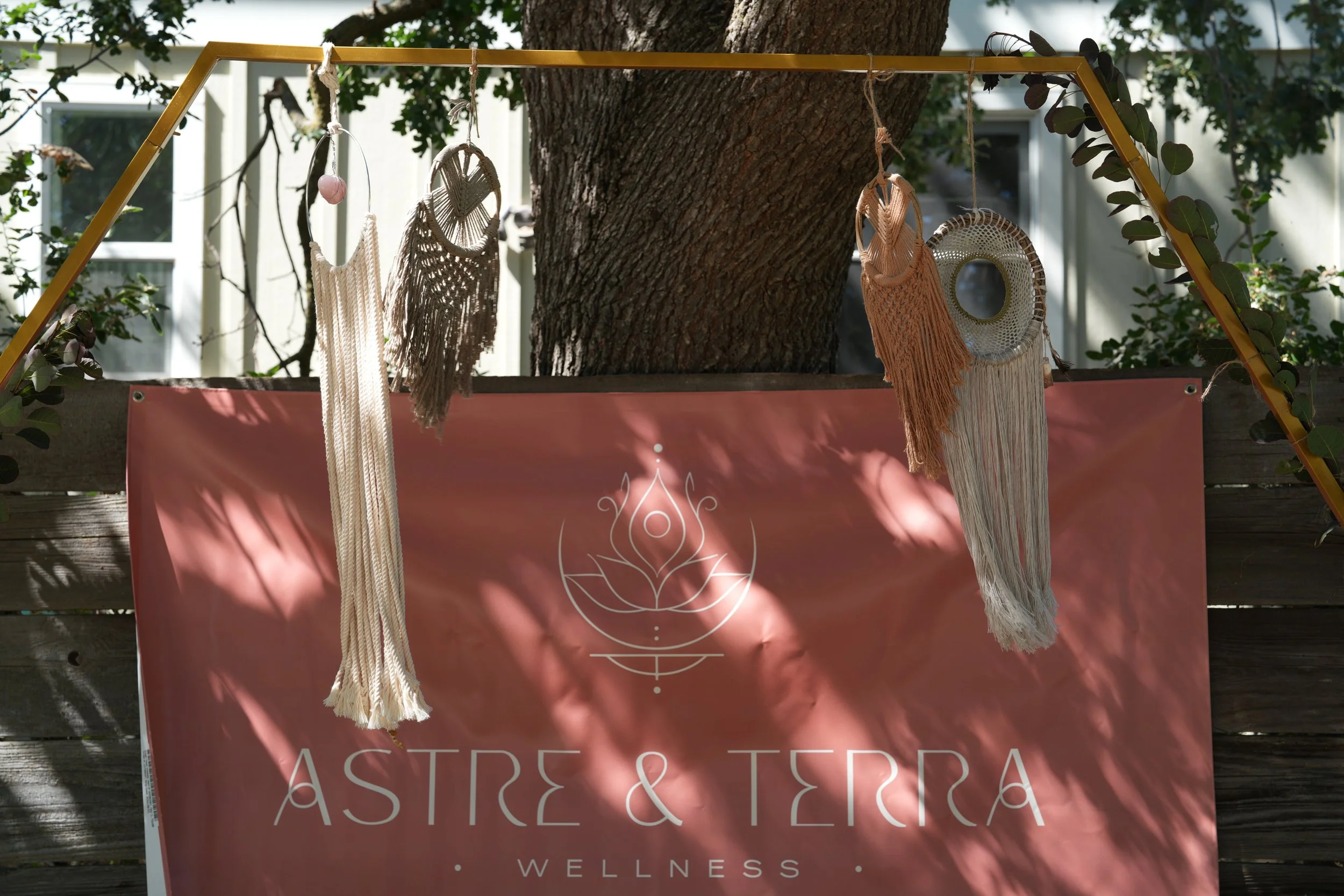 Copy of DSC01931 (1).JPG