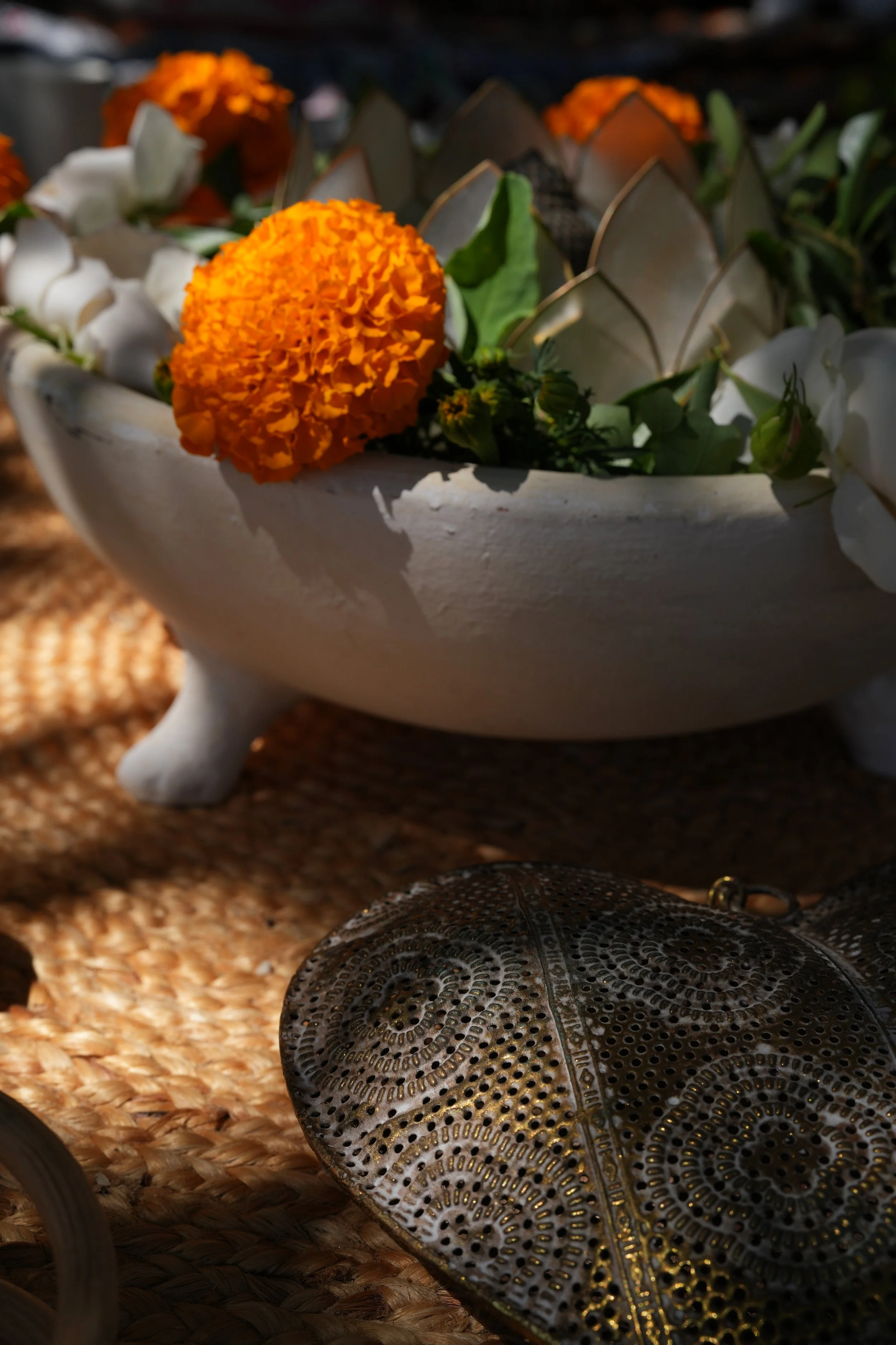 Copy of DSC01929.JPG