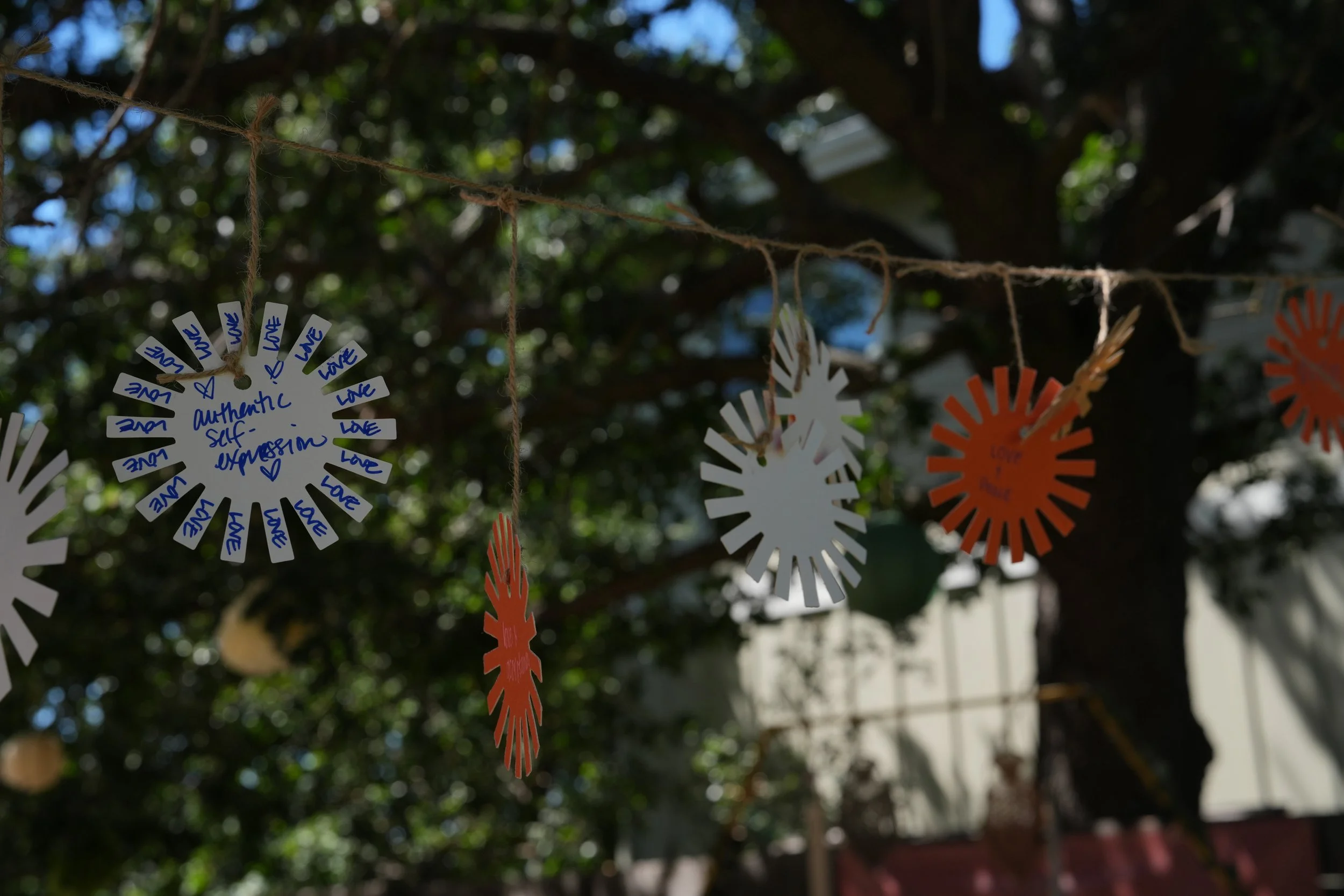 Copy of DSC01908 (1).JPG