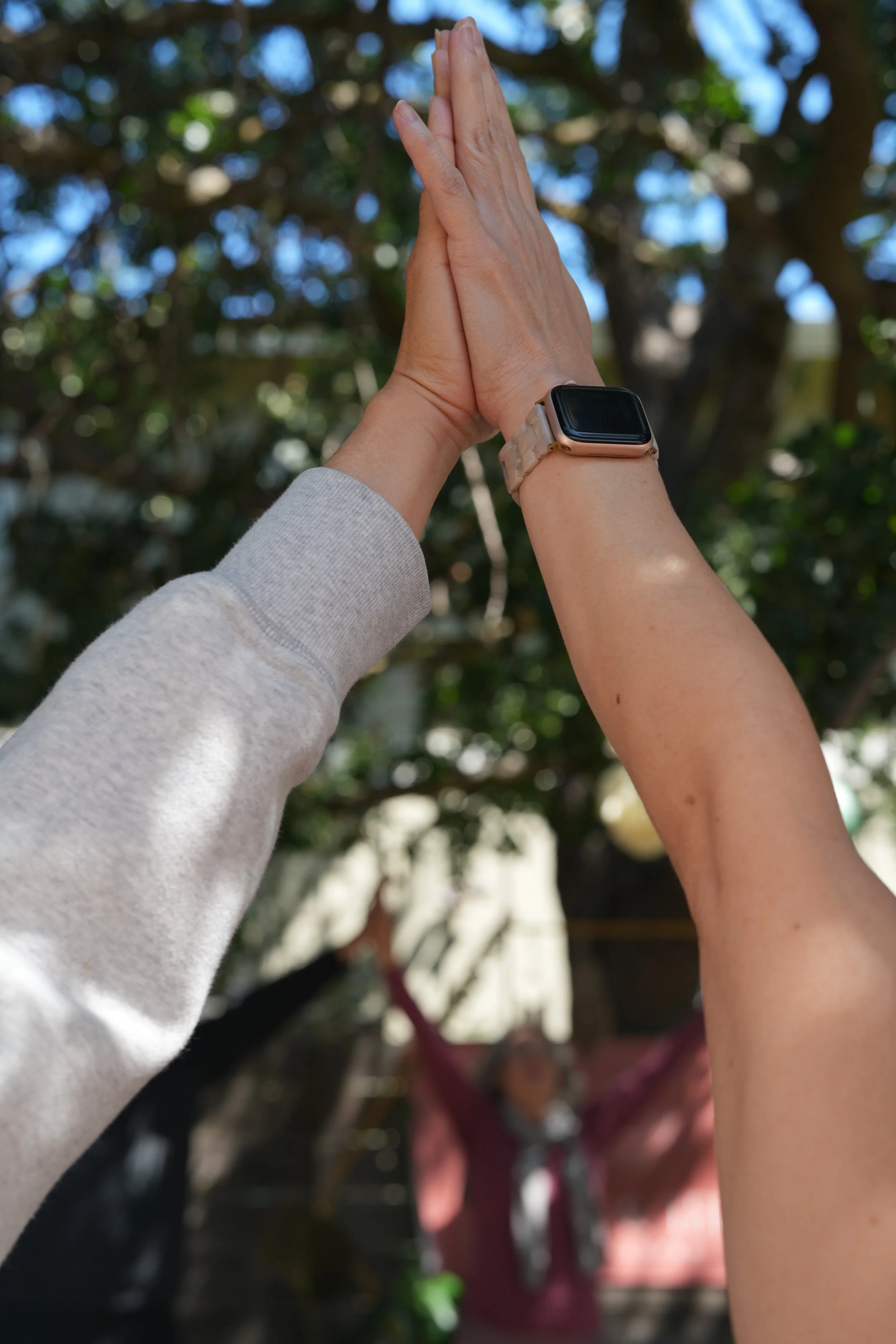 Copy of DSC01473.JPG