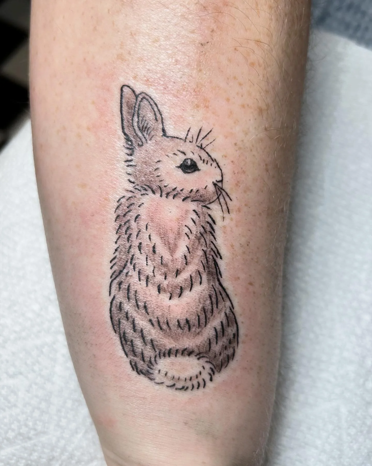 roundup of critters for harmony and a snuggled up pet portrait. Thank u for letting me tattoo u! filling up my last October spots and then working on some fun things for November :) #tattooapprentice #booknow #flashtattoo #nashvilletattoo