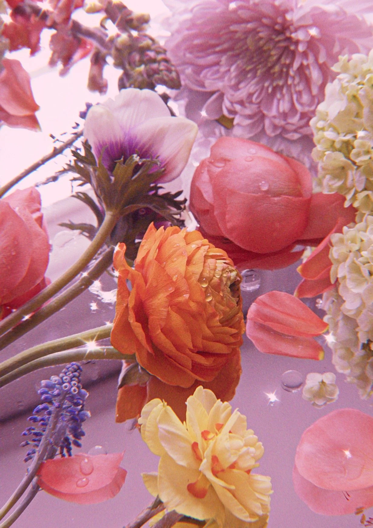 fresh flowers arranged on a mirror; photograph