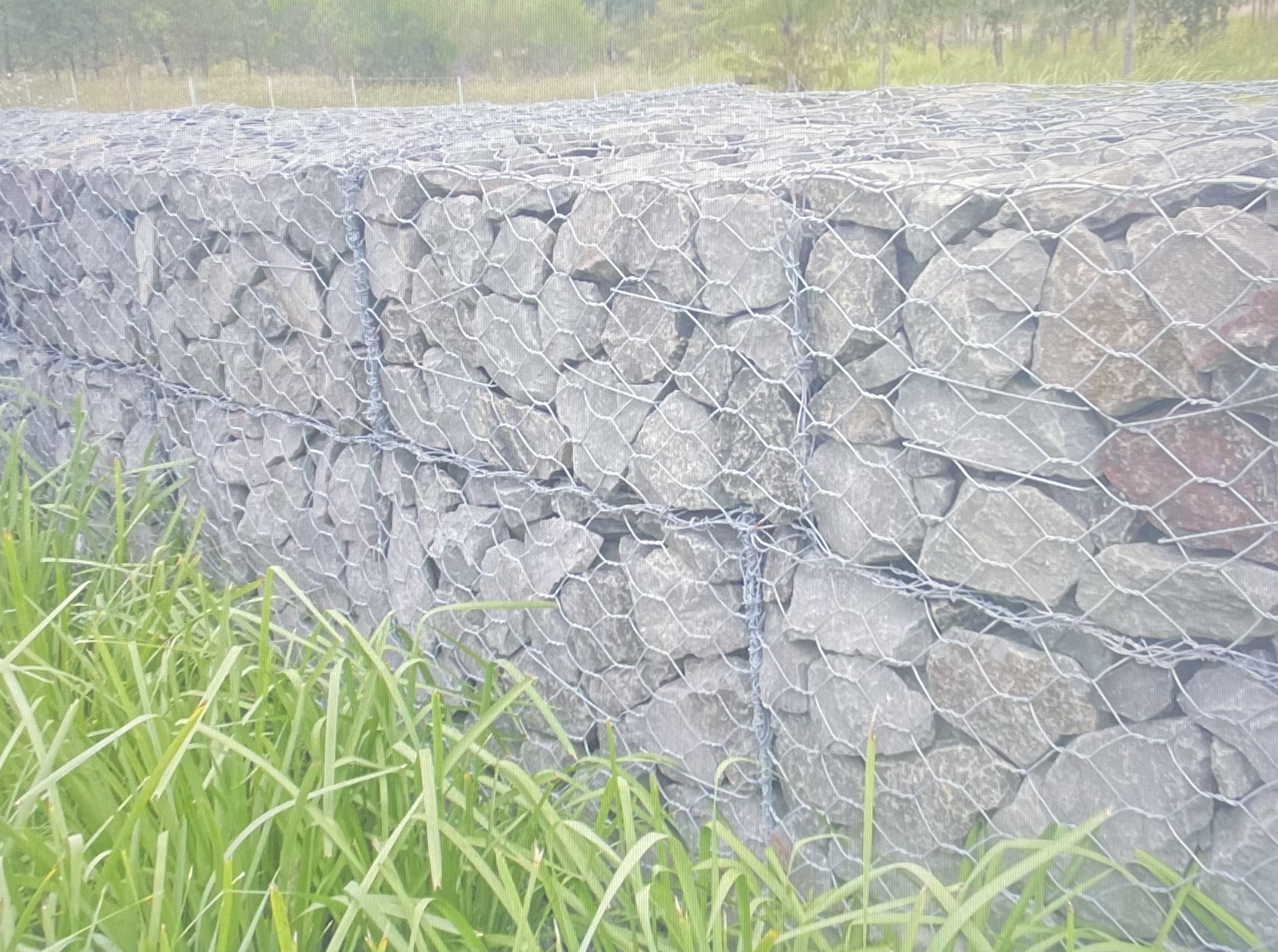 Screenshot 2024-06-24 at 5.36.13 pm.png