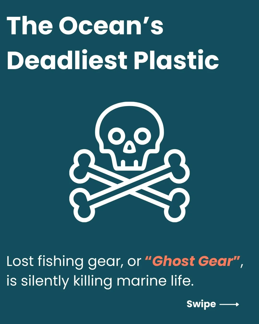 The Sesh Snake gets its signature sea green colour from reclaimed ghost gear, turning ocean waste into something better. 
Because our oceans deserve better. ♻️
#GhostGear #OceanConservation #Sustainability #ProtectOurOceans #CircularDesign