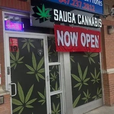 Retailer Spotlight: Sauga Cannabis 🏪

Today we&rsquo;re shining a spotlight on one of our amazing retail partners: Sauga Cannabis.

You can now find the Sesh Snake&trade; at:
 📍 Sauga Cannabis - 295 Eglinton Ave East, Missisauga

We&rsquo;re gratef