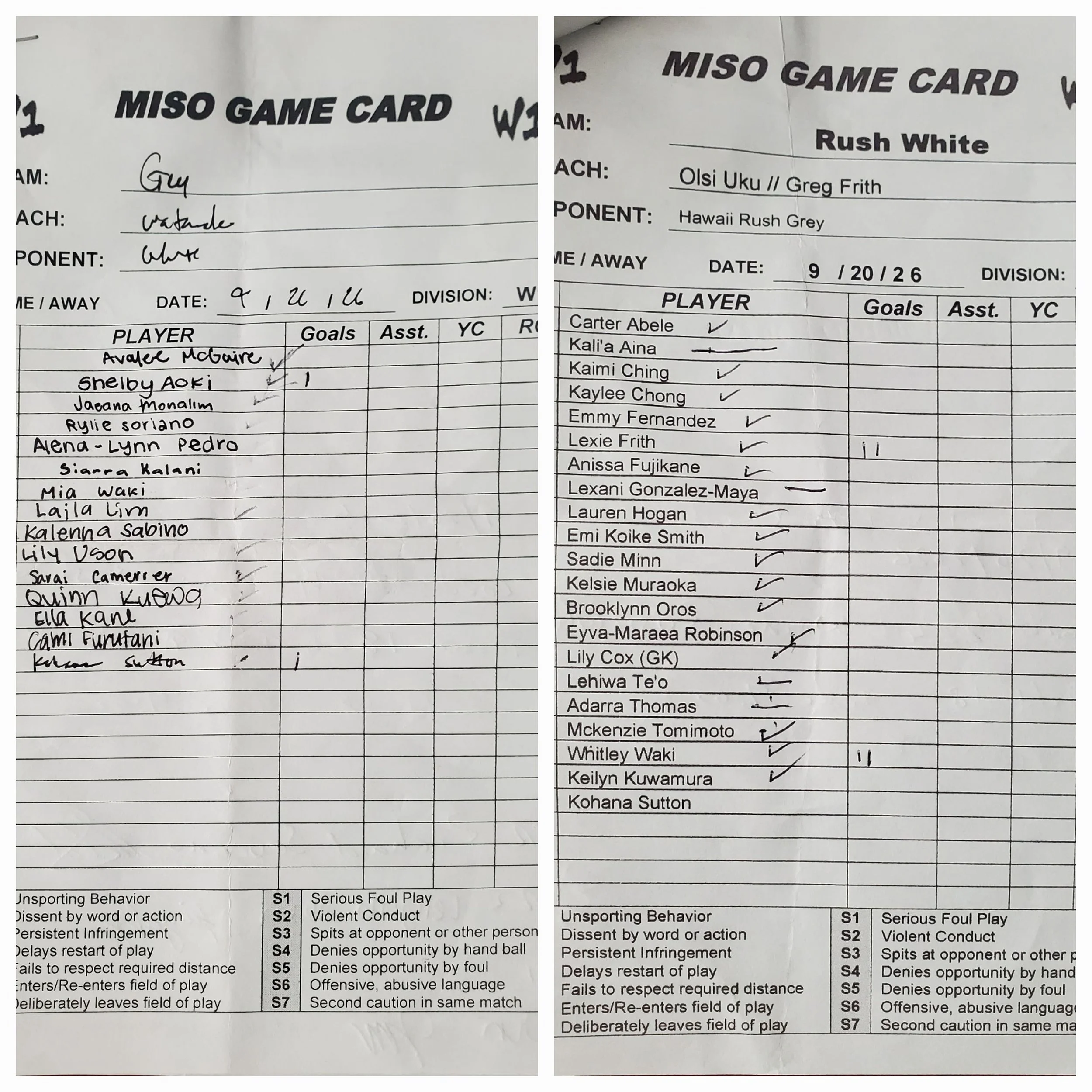 Rush Grey Vs. Rush White