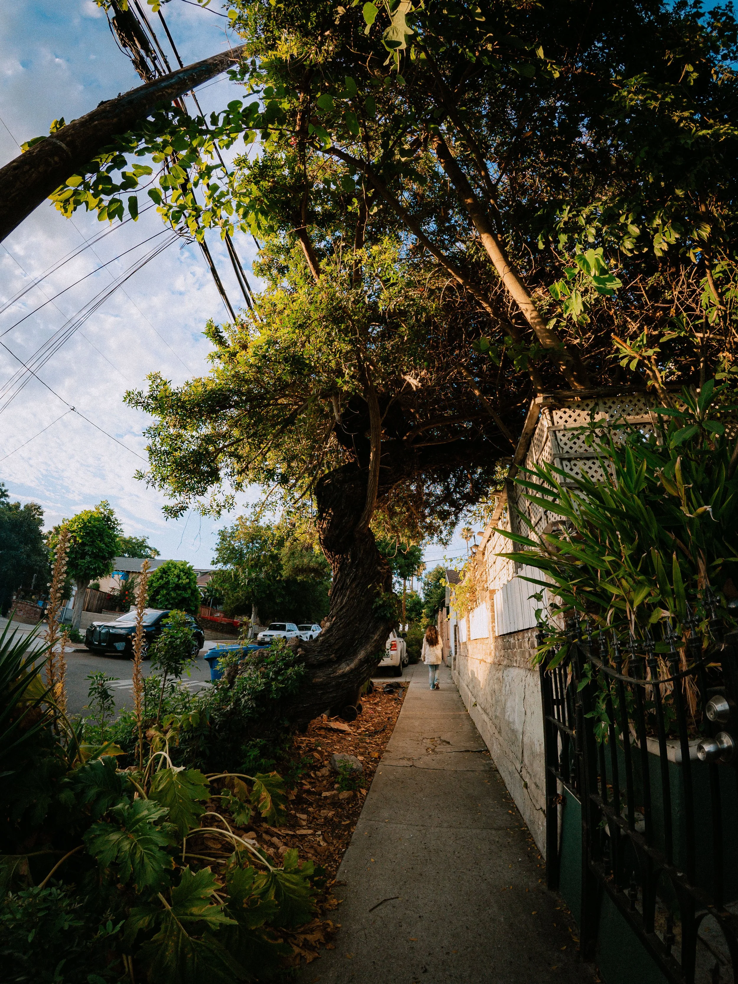 Everyday Action Presets - Made for INSTA360 Ace Pro 2 -145.jpg
