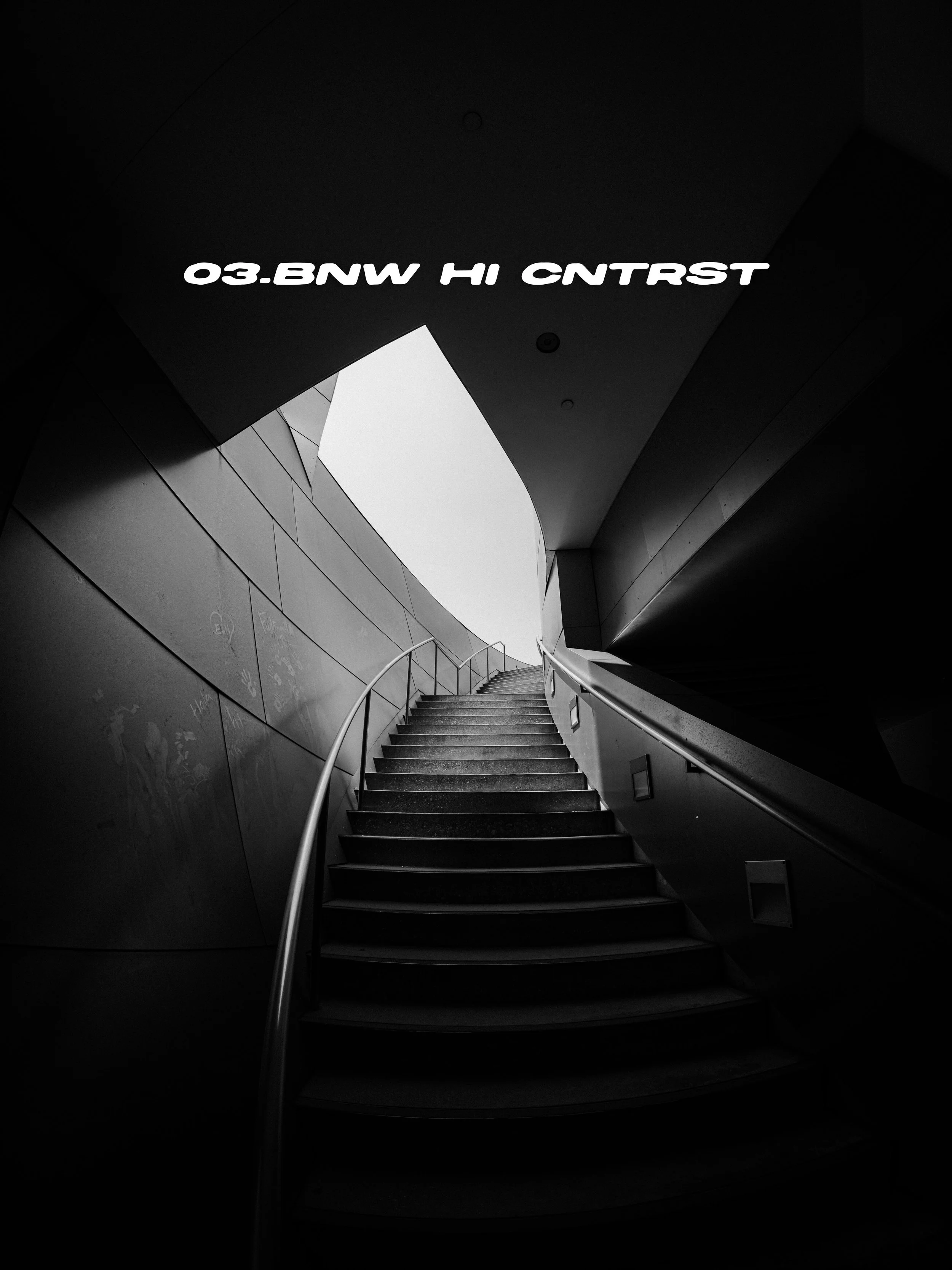03-BNW HI CNTRST.jpg