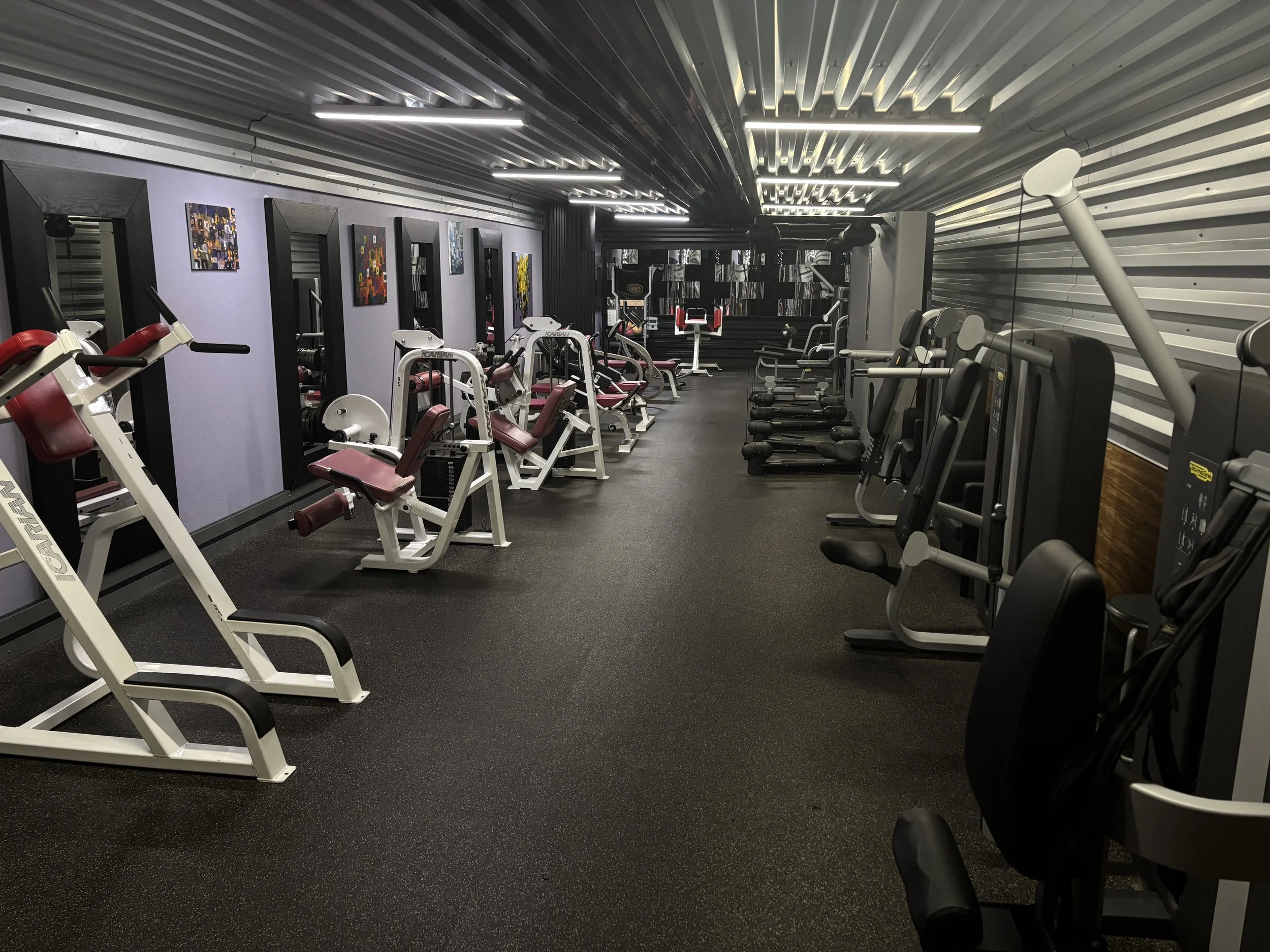 Technogym Kinesis machines