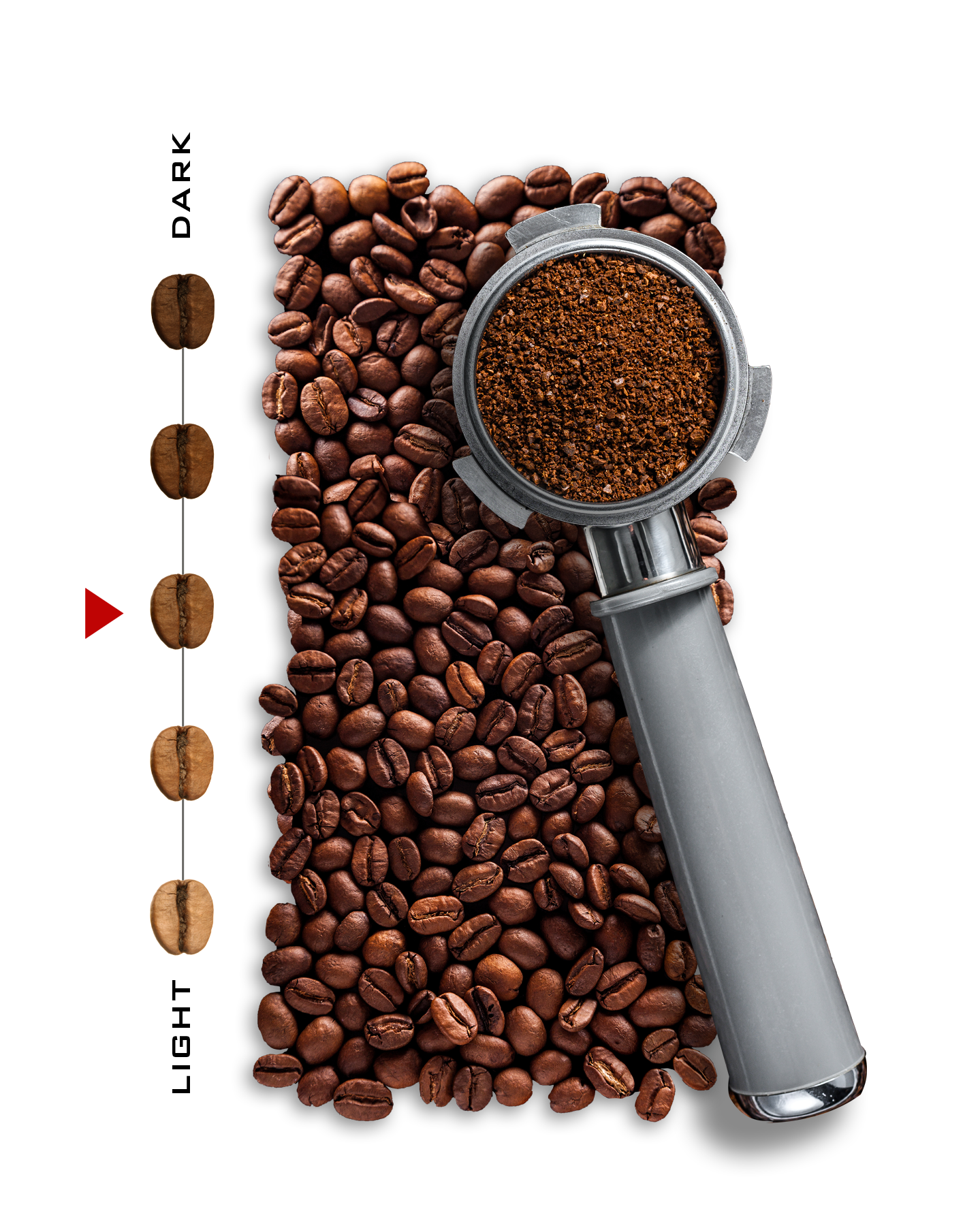 Medium Beans.png