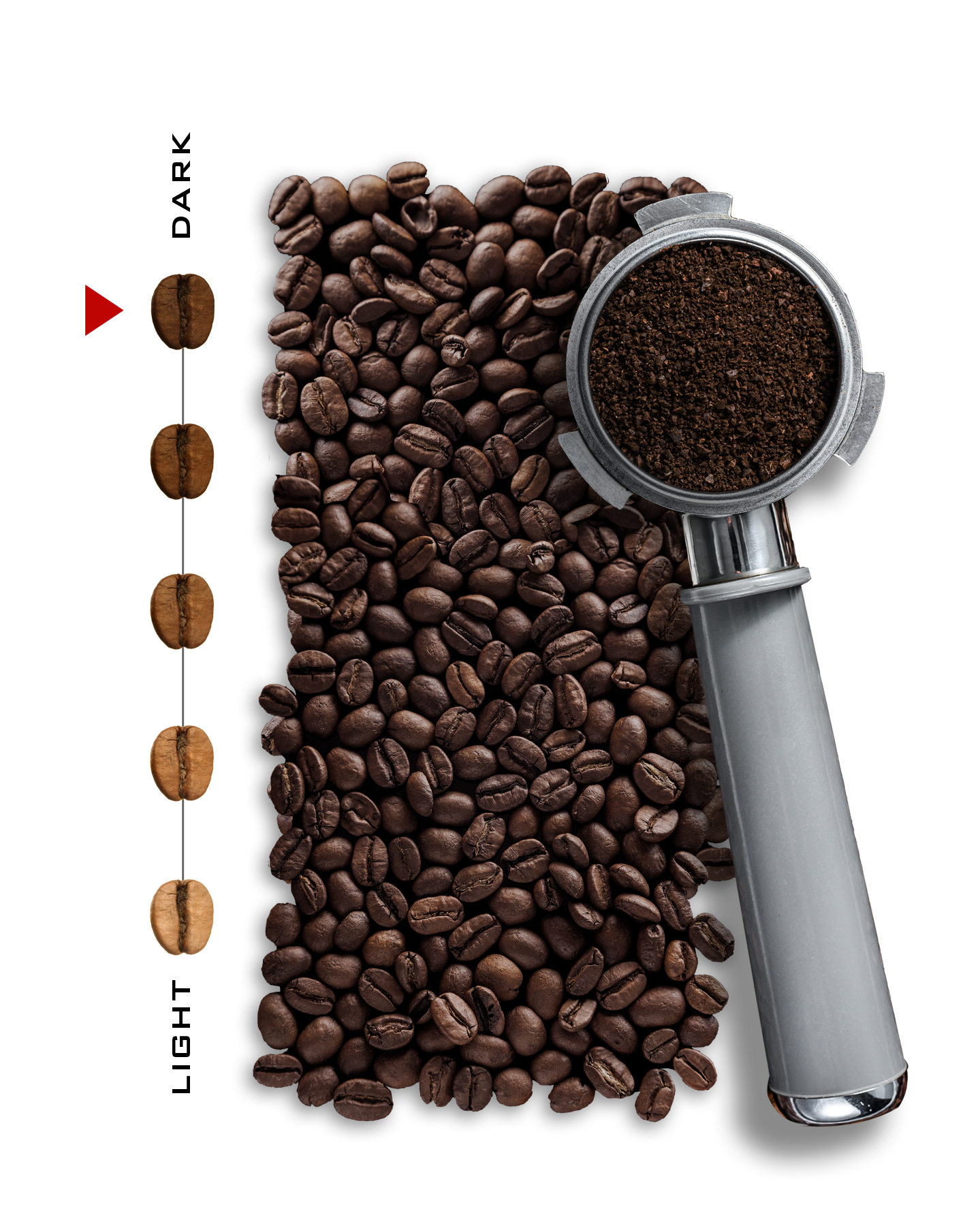Dark Beans.png