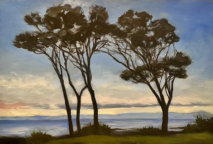 Currarong, Jerrinja Country, 2023