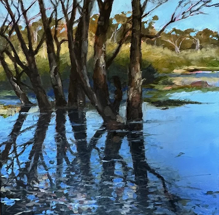 Glenbrook Swamp, Darug Country, 2025