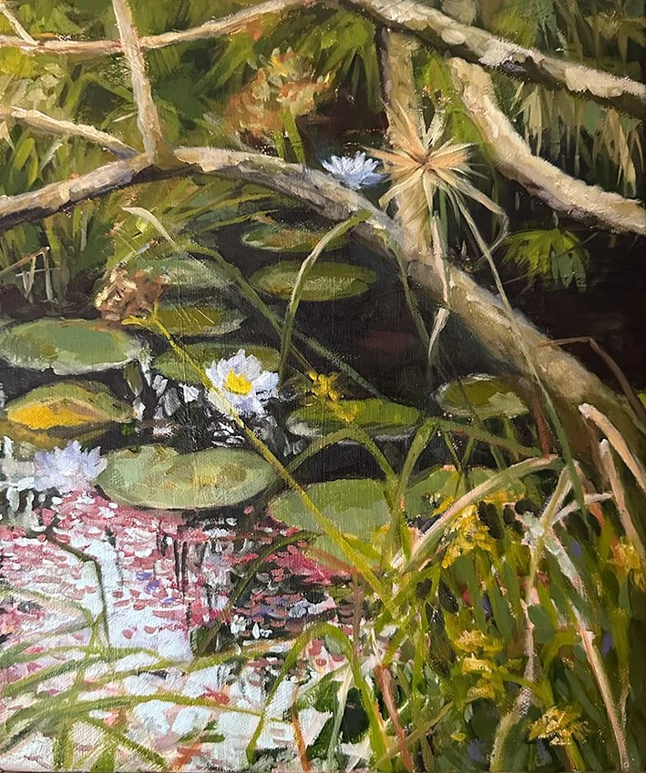 Waterlilies I, Julatten Swamp, 2025