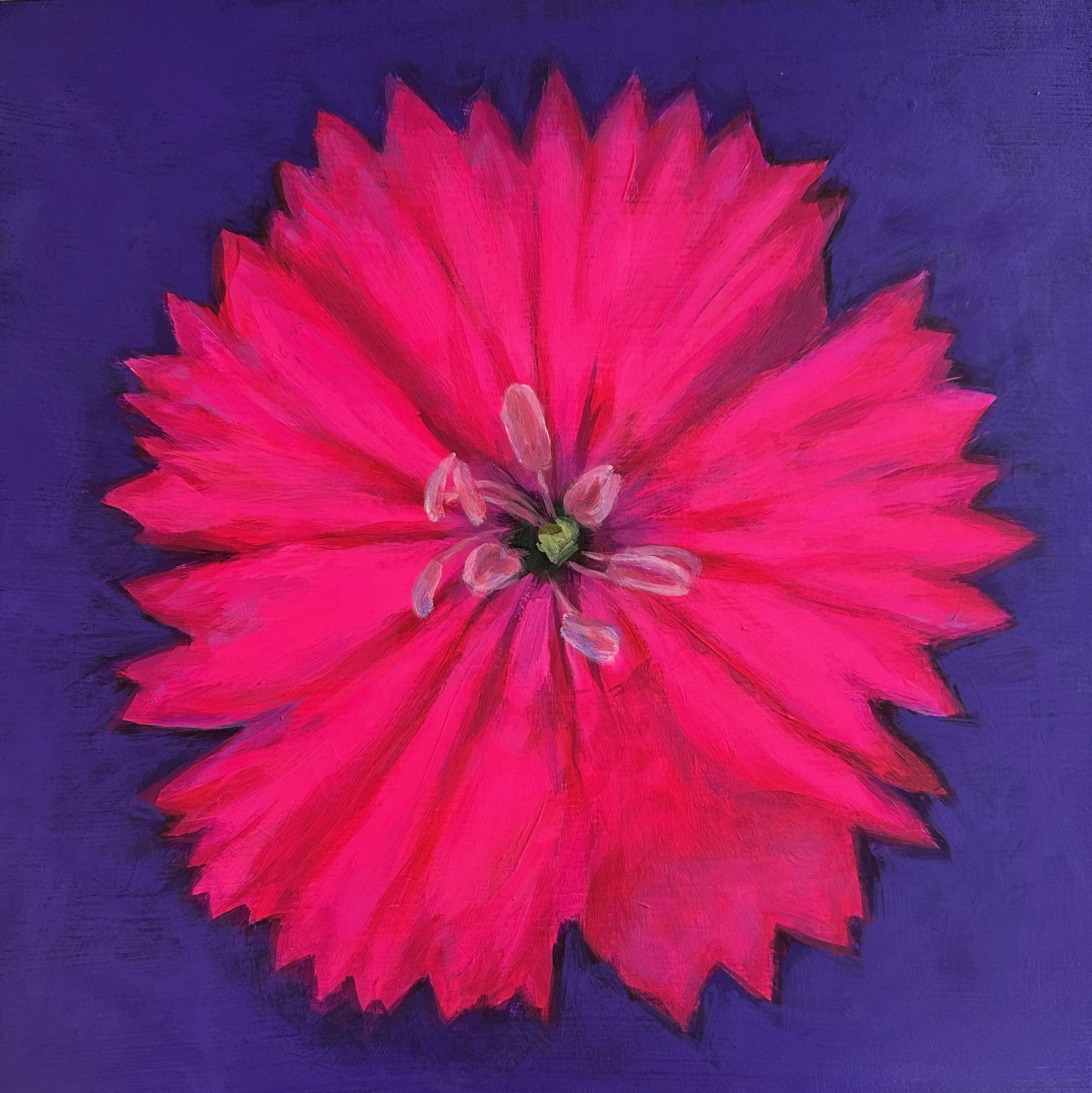 Flower Portrait Series, Hot Pink, 2026