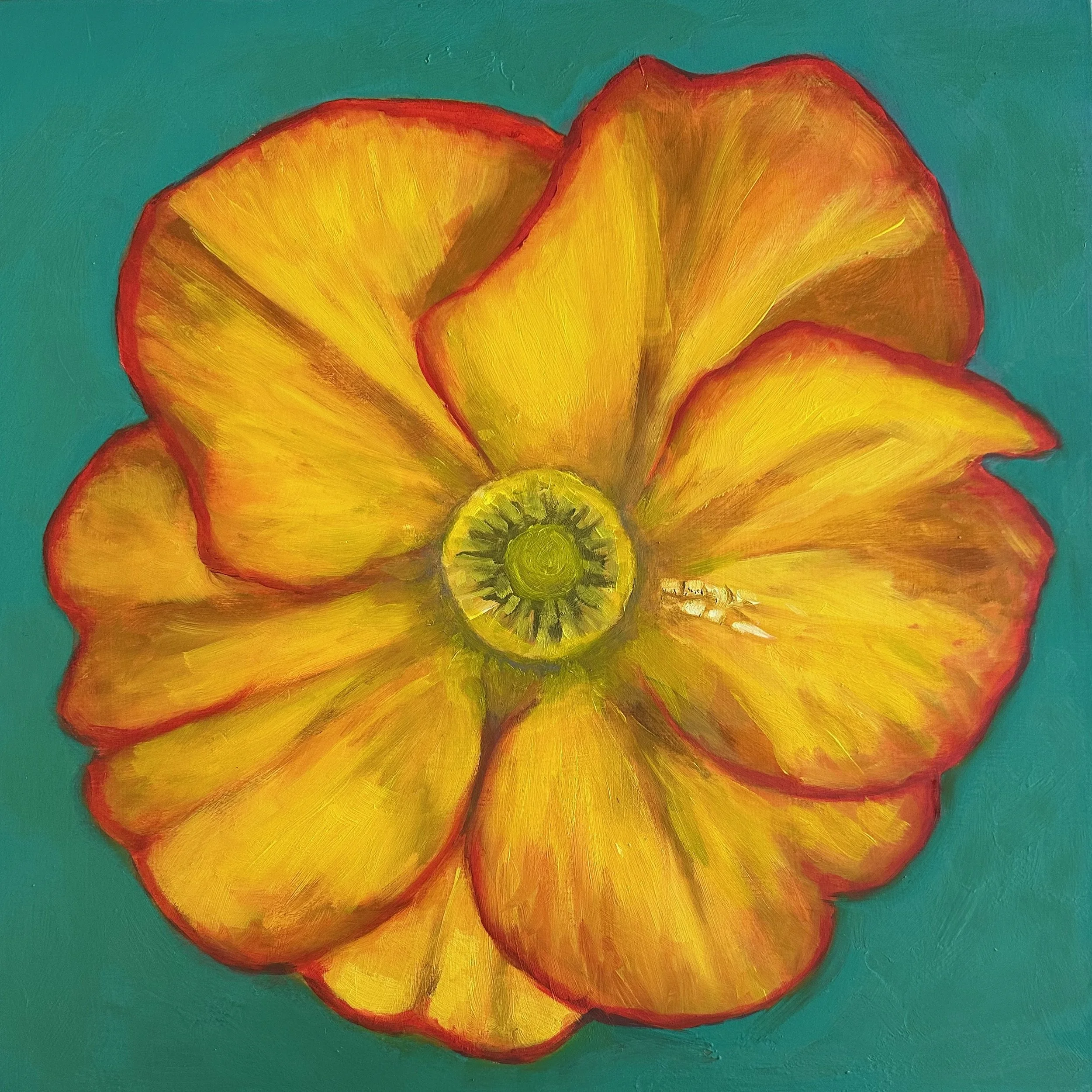 Flower Portrait Series, Primula, 2026