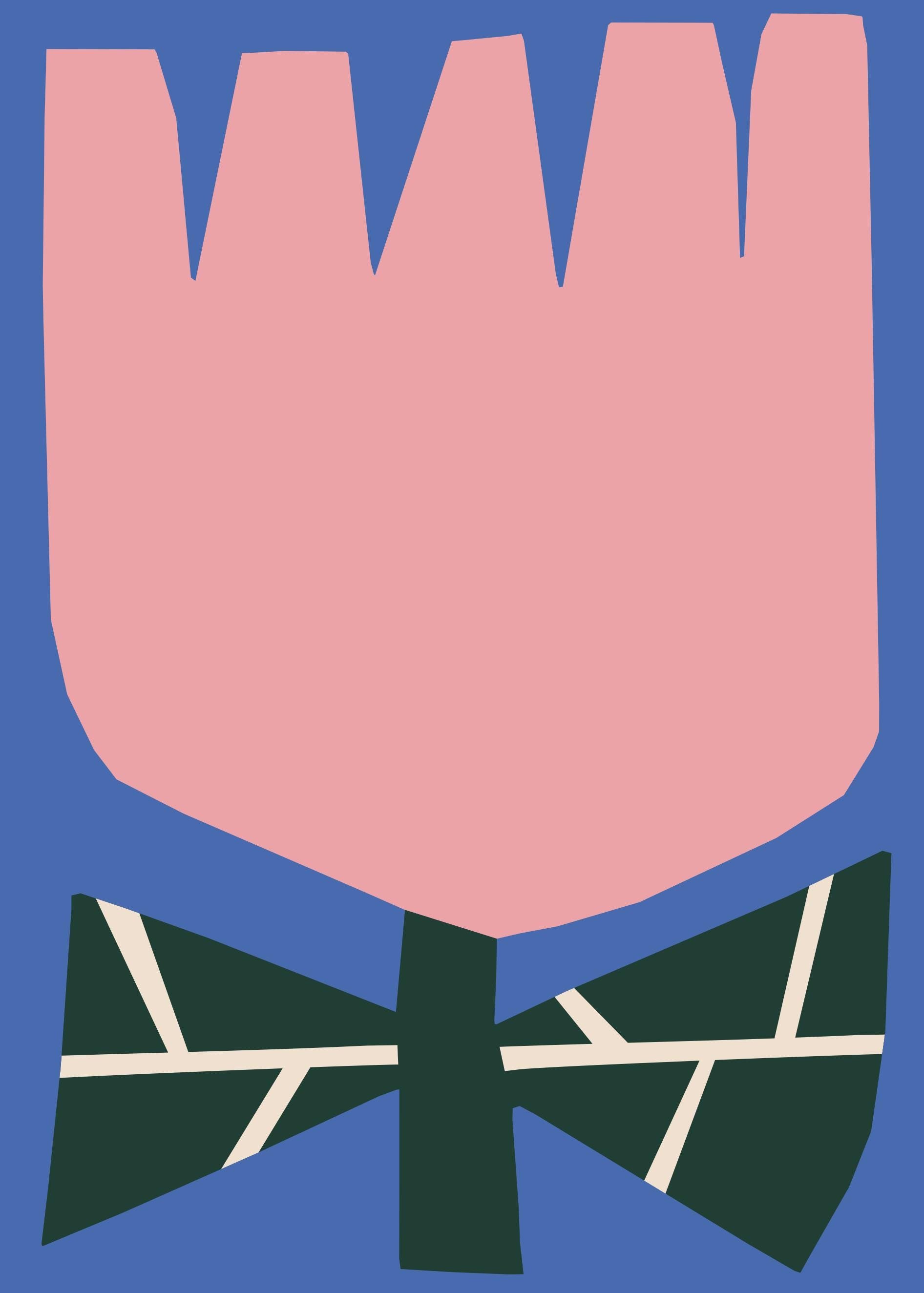 https://i.etsystatic.com/56473116/r/il/33b712/6990119086/il_fullxfull.6990119086_kw1o.jpg